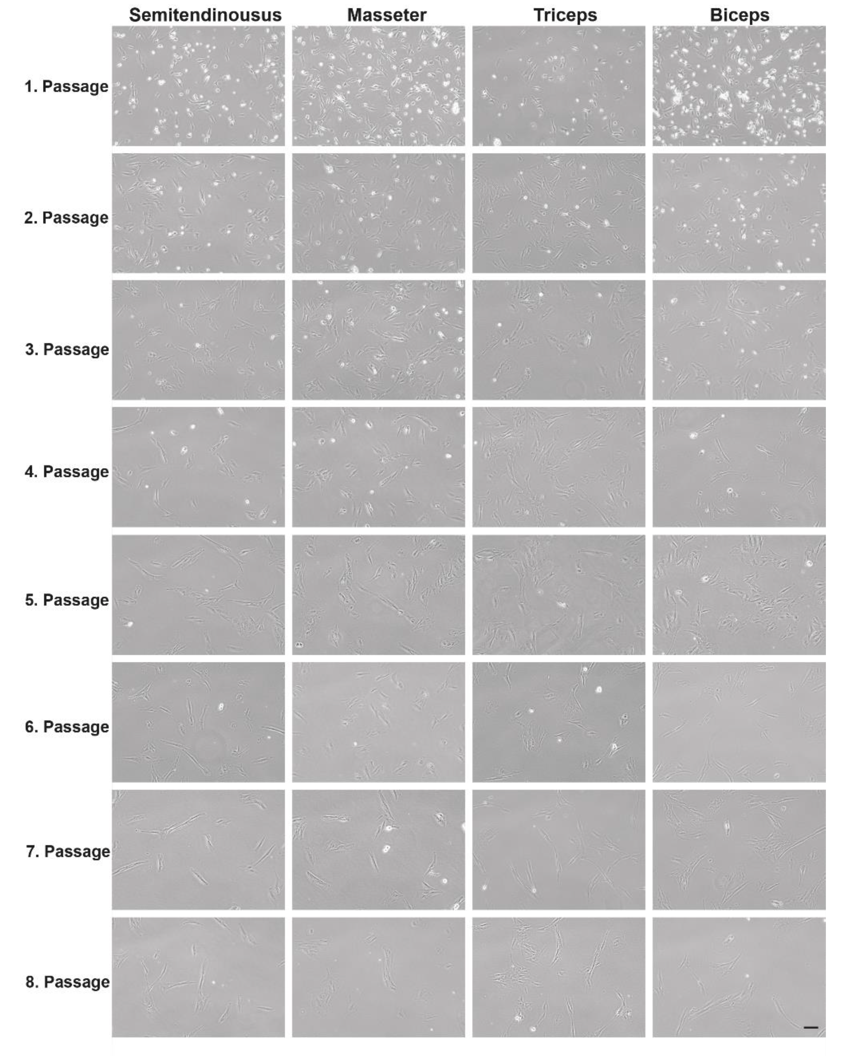 Life 12 01668 g003 Life 12 01668 g003