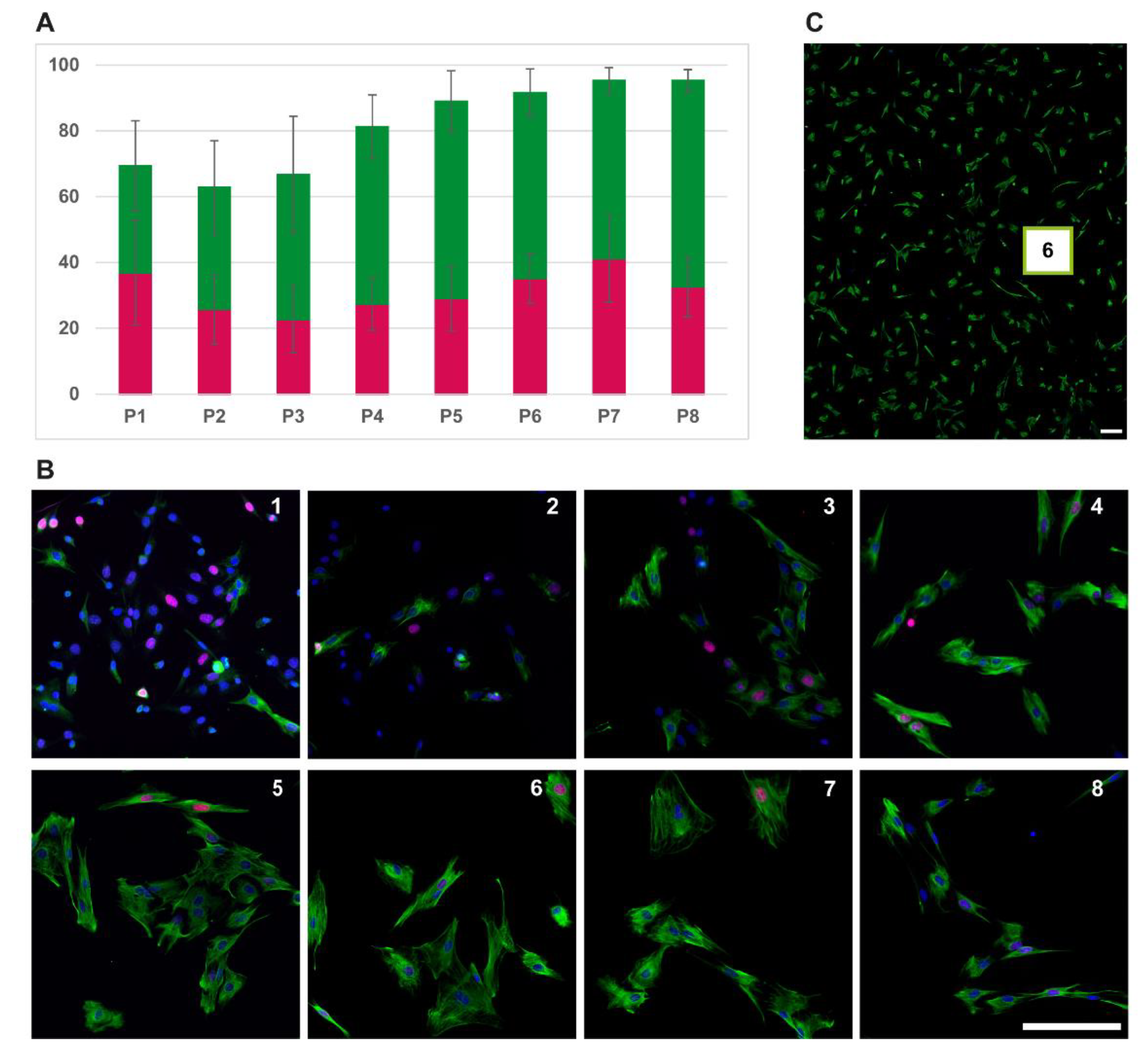 Life 12 01668 g004 Life 12 01668 g004