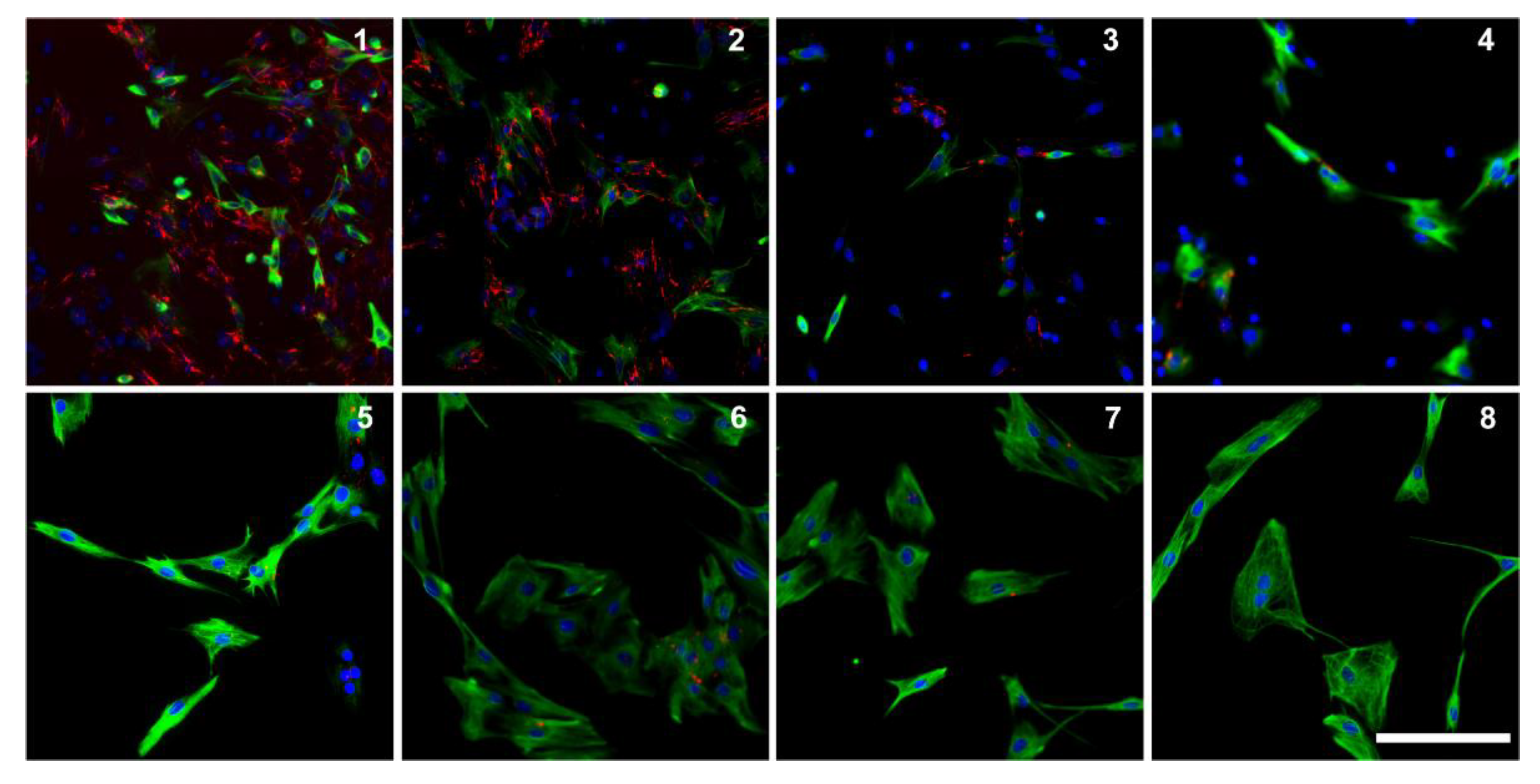 Life 12 01668 g006 Life 12 01668 g006
