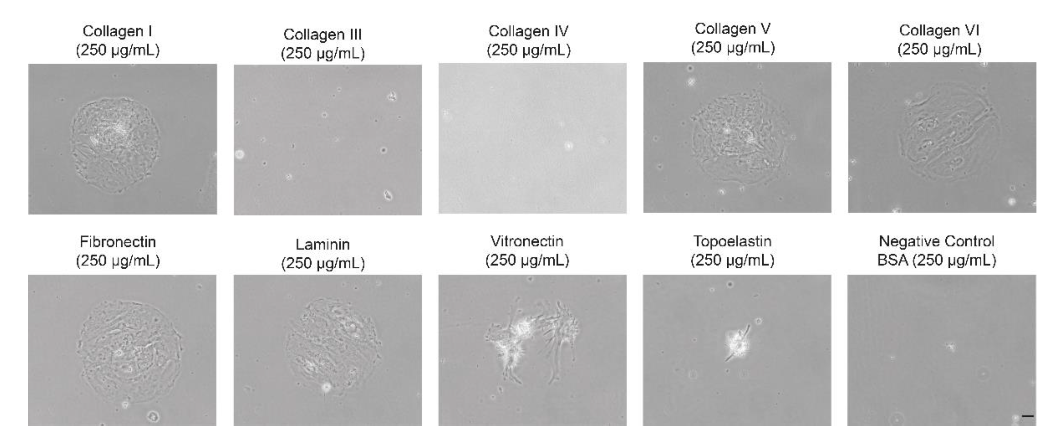 Life 12 01668 g007 Life 12 01668 g007