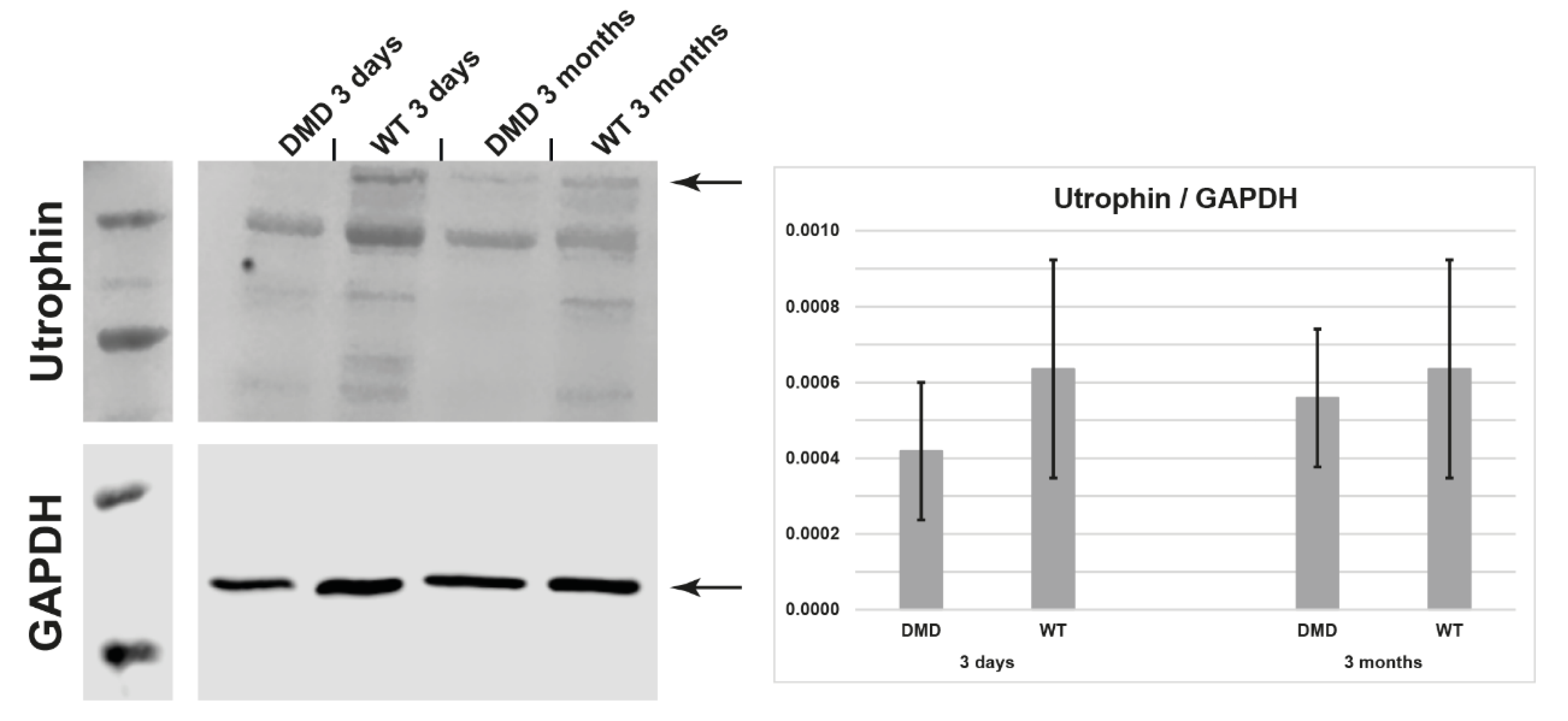 Life 12 01668 g008 Life 12 01668 g008