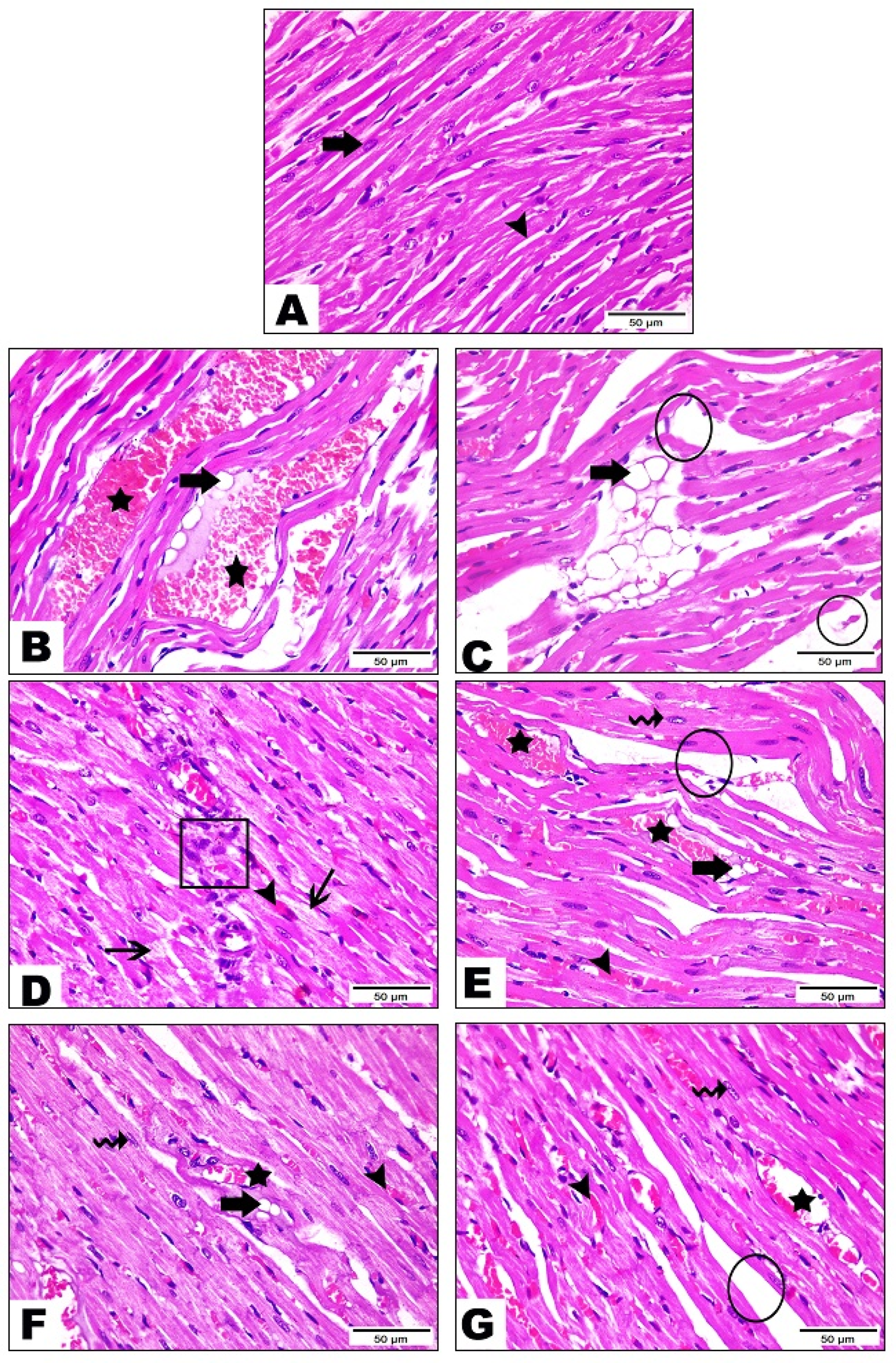Life 12 01731 g002 Life 12 01731 g002