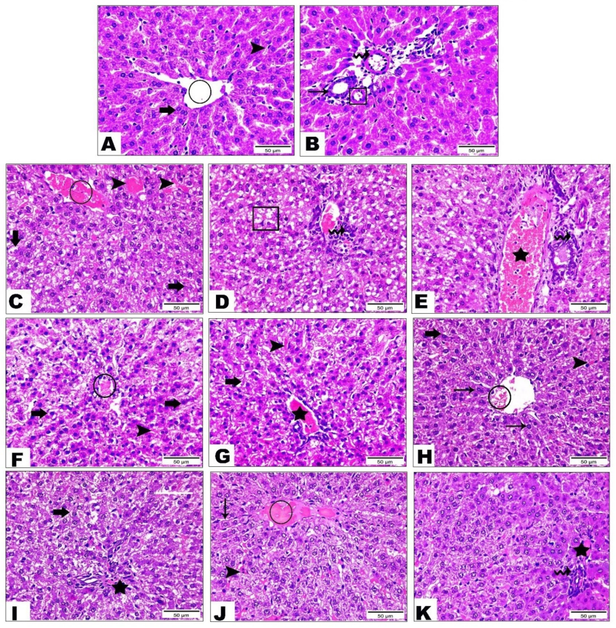Life 12 01731 g004 Life 12 01731 g004