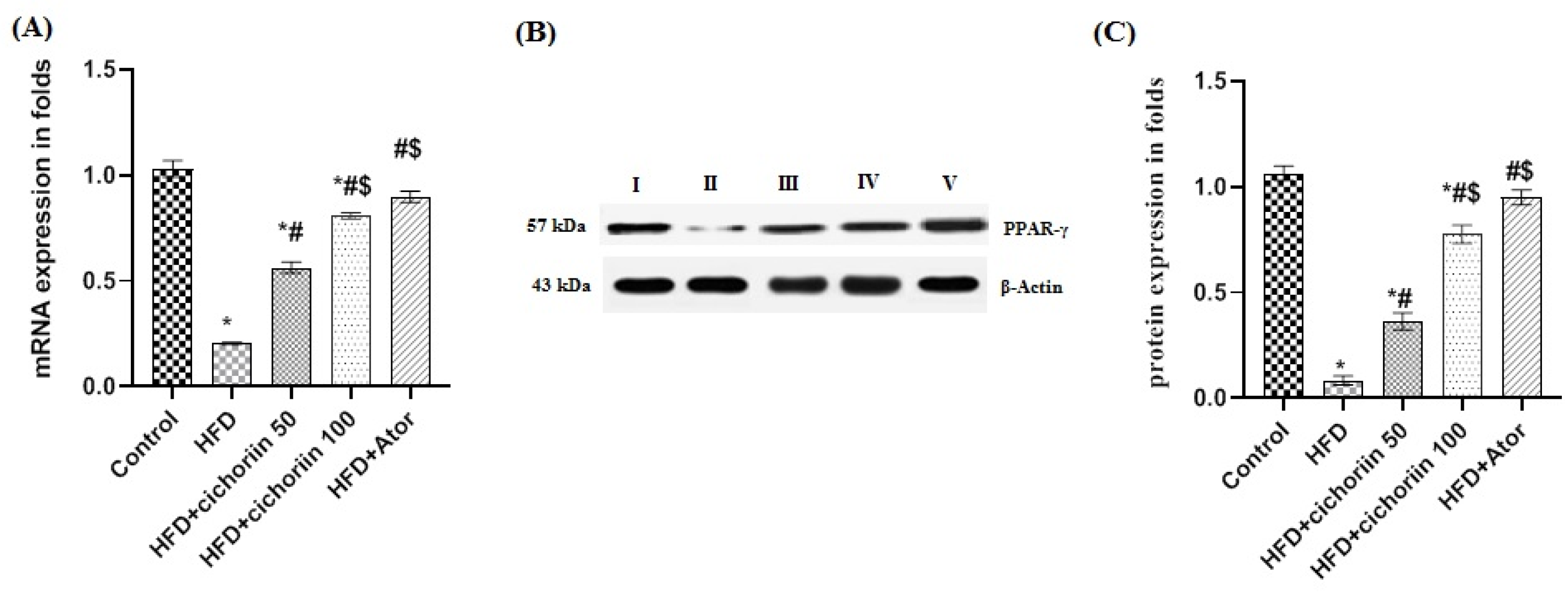 Life 12 01731 g005 Life 12 01731 g005