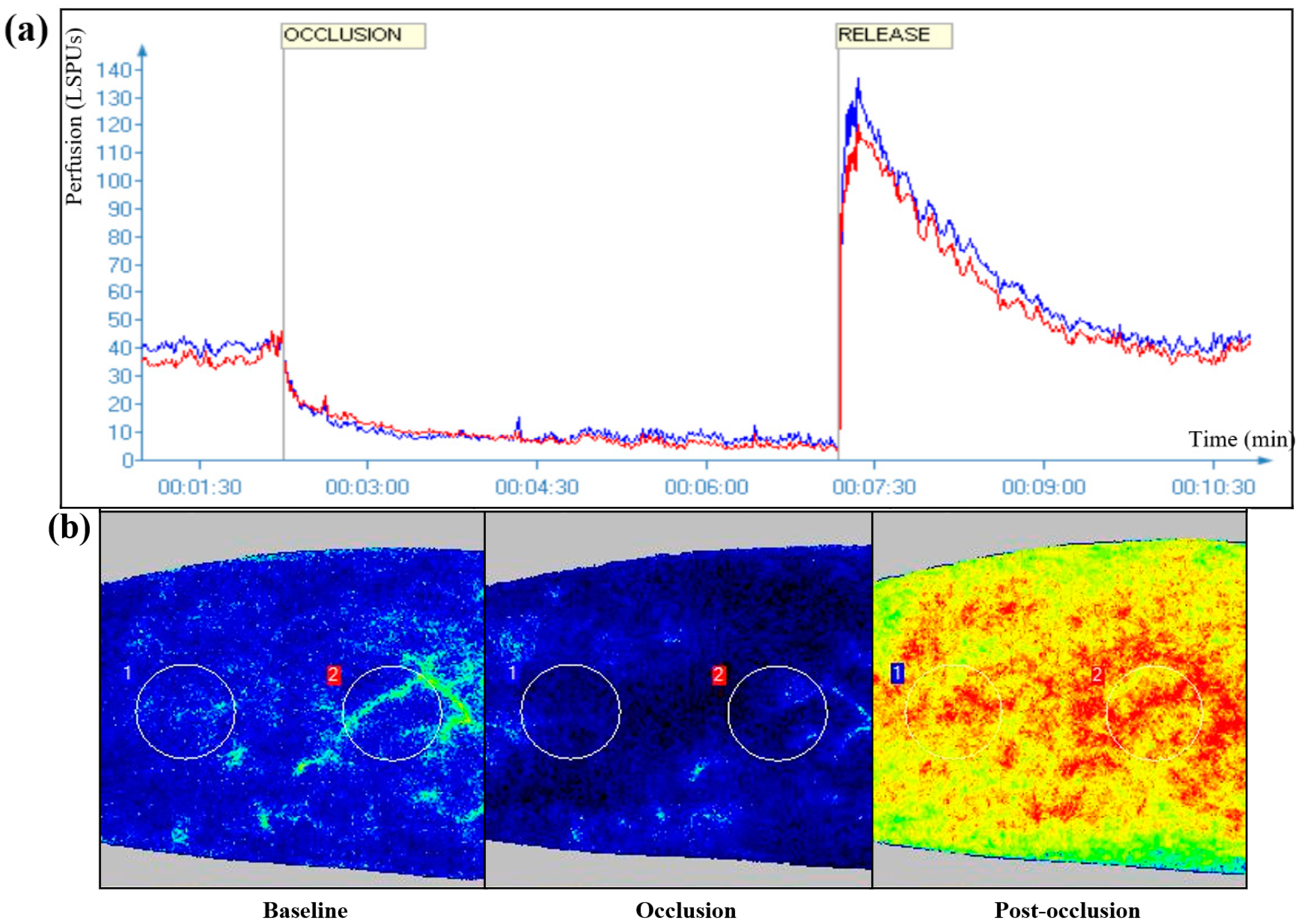 Life 12 01796 g001 Life 12 01796 g001