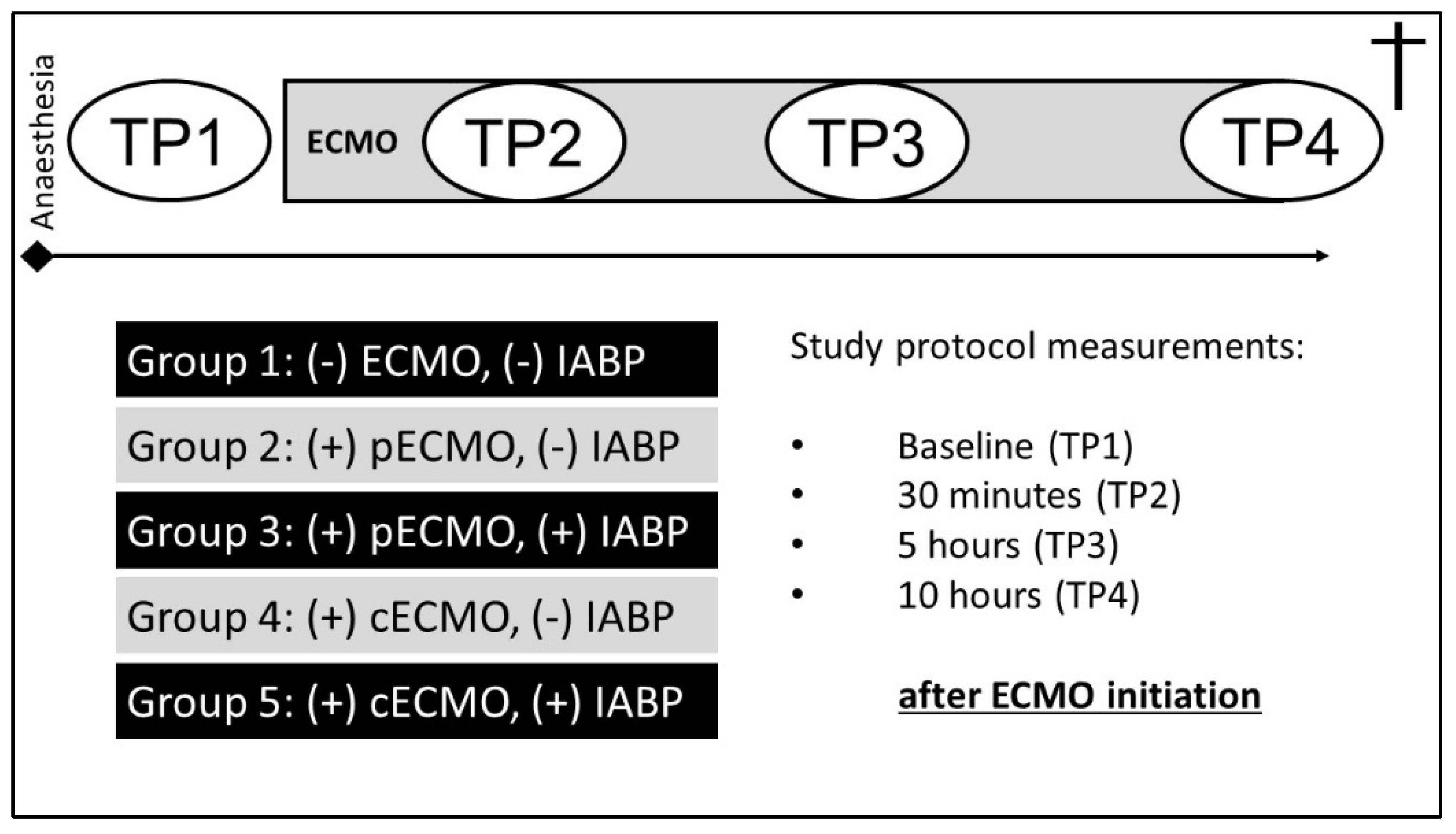 Life 12 01859 g001 Life 12 01859 g001