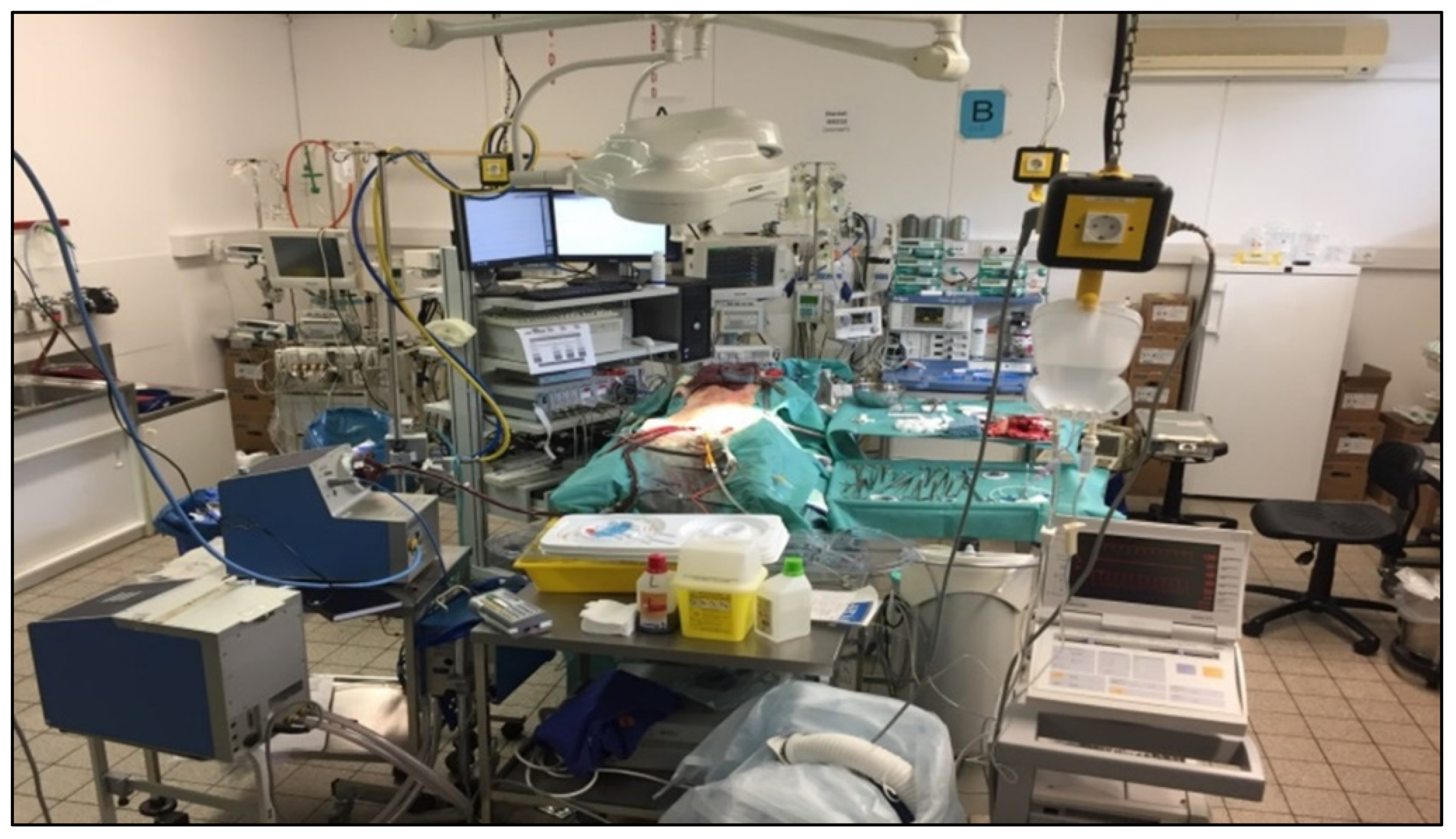 Life 12 01859 g003 Life 12 01859 g003