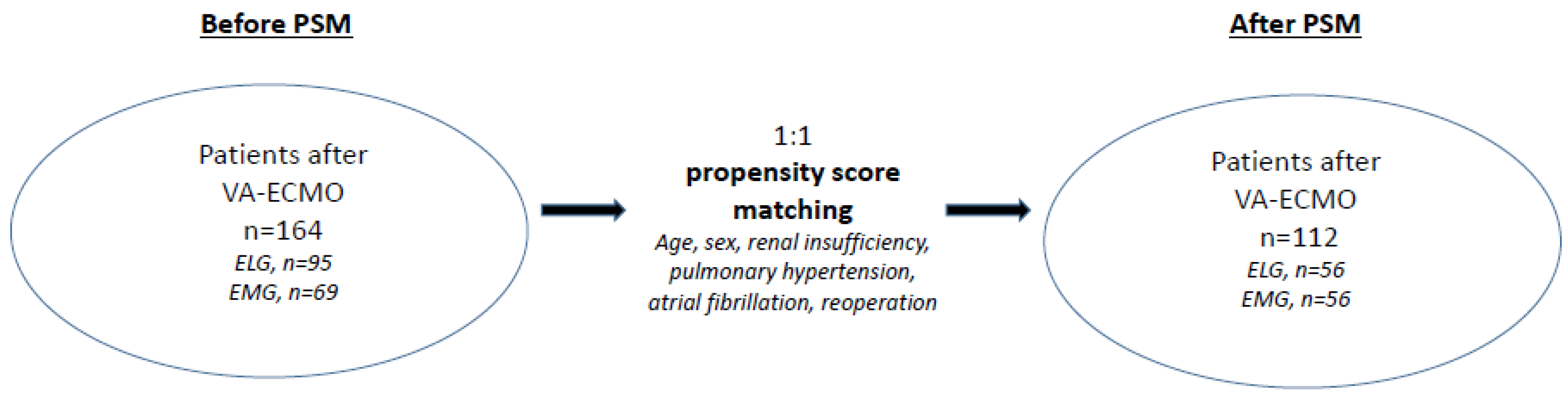 Life 12 01872 g002 Life 12 01872 g002