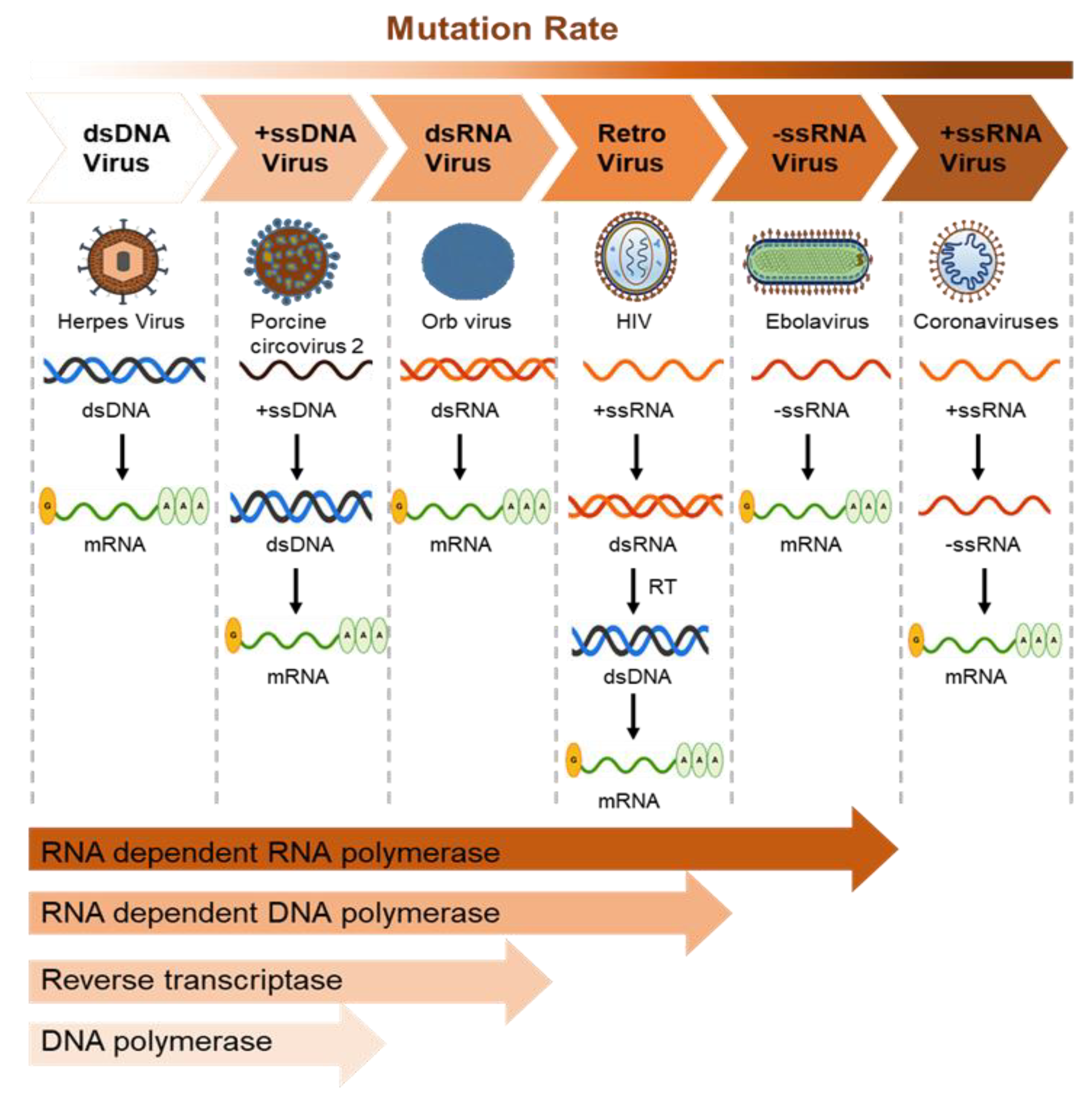 Life 12 01893 g003 Life 12 01893 g003