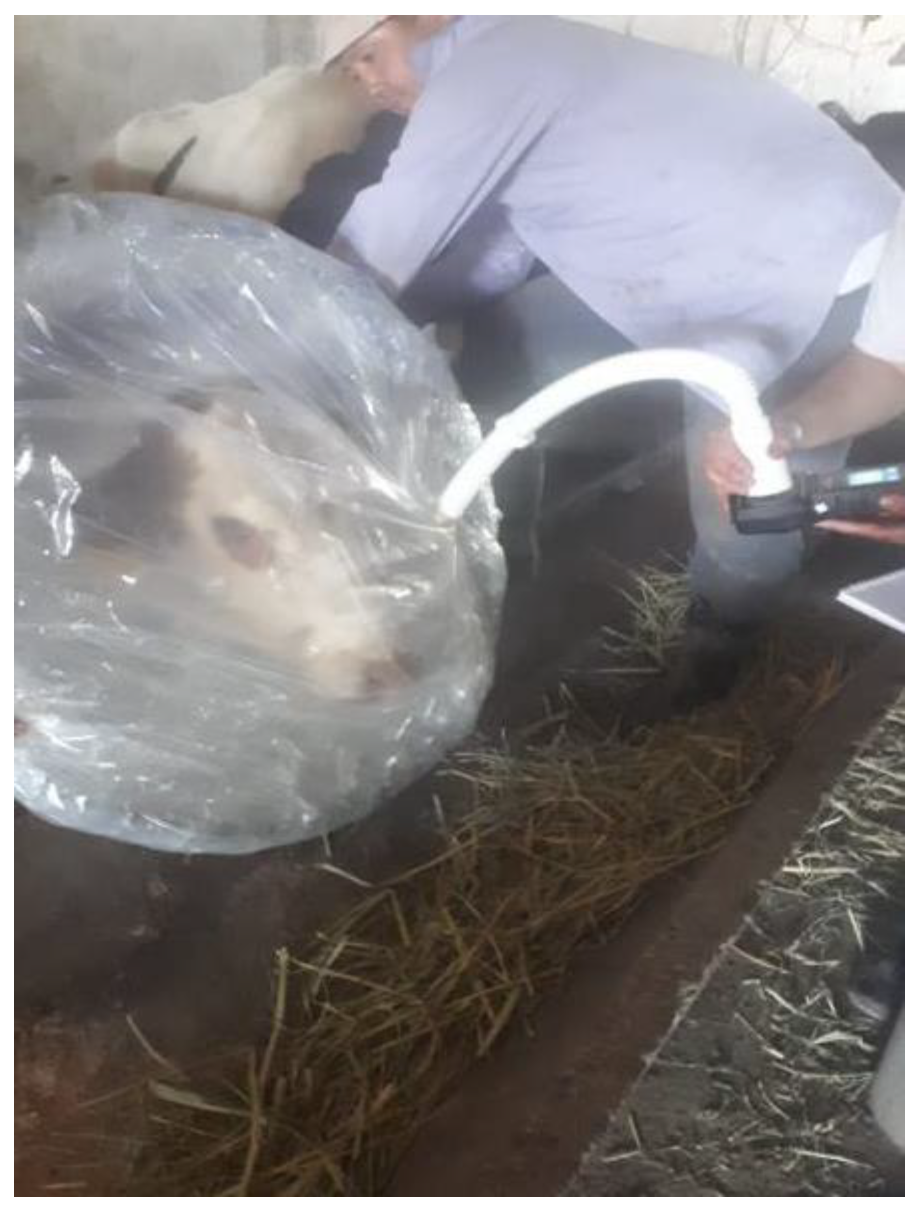 Life 12 01911 g001 Life 12 01911 g001