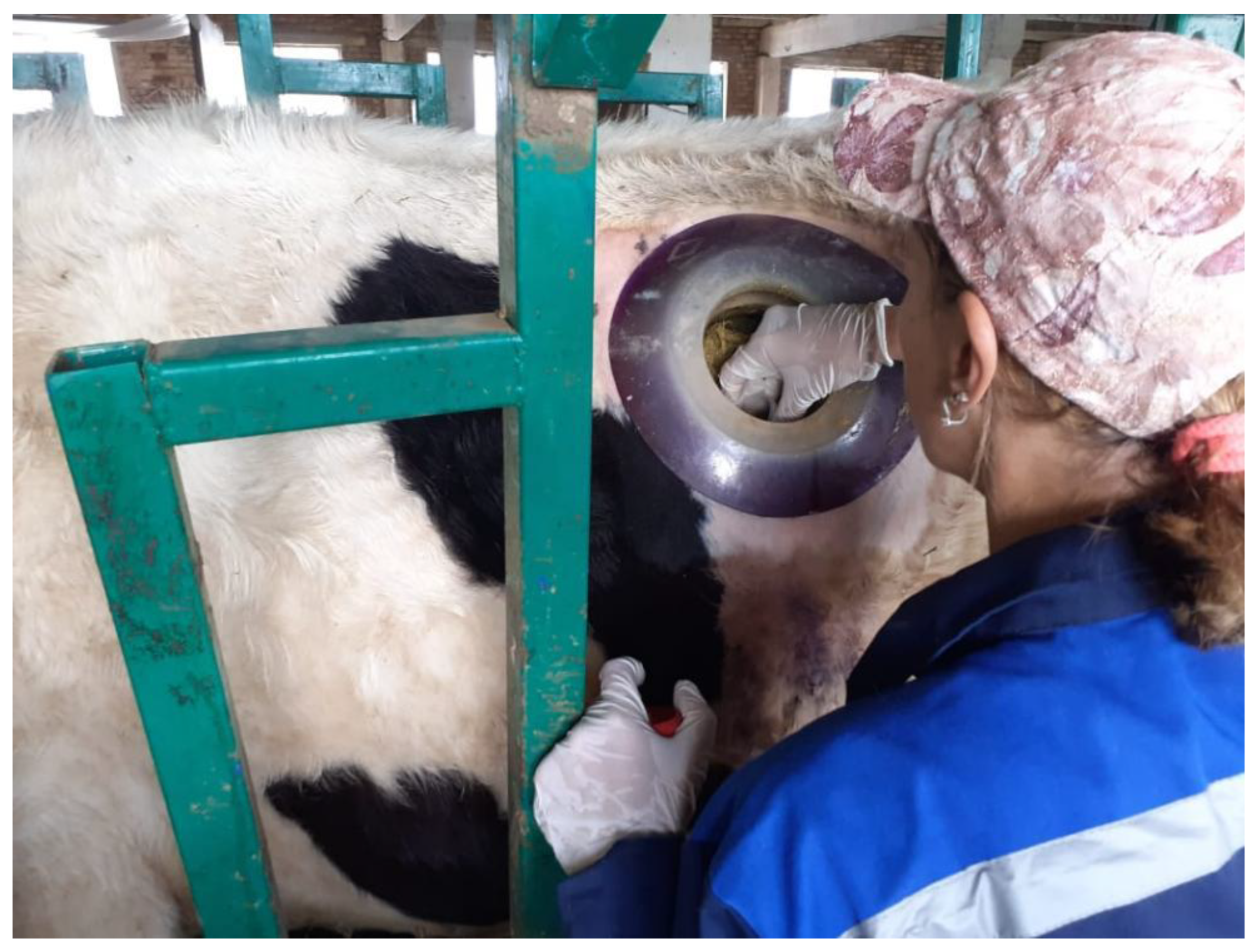 Life 12 01911 g002 Life 12 01911 g002