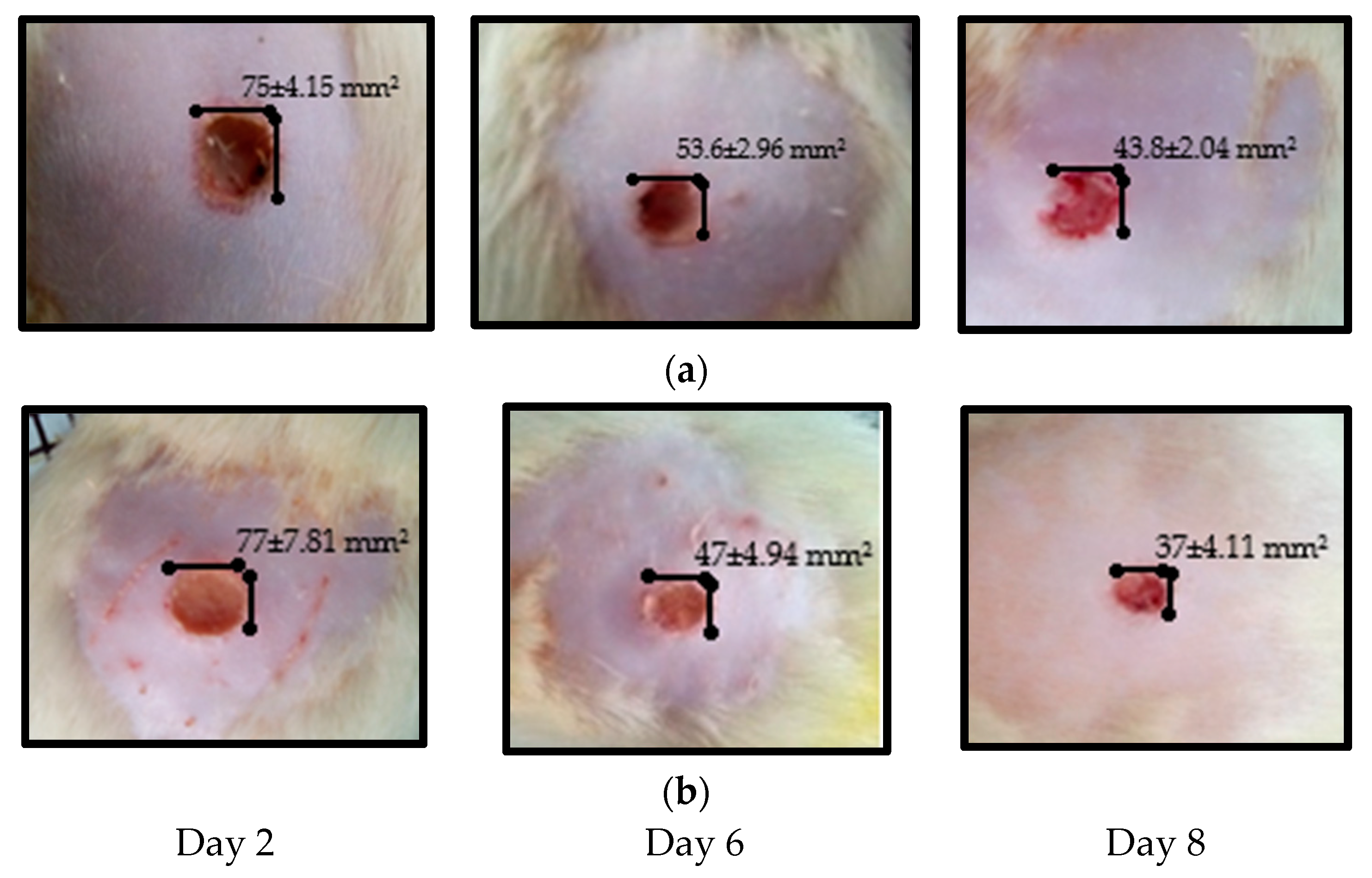 Life 12 01947 g005 Life 12 01947 g005