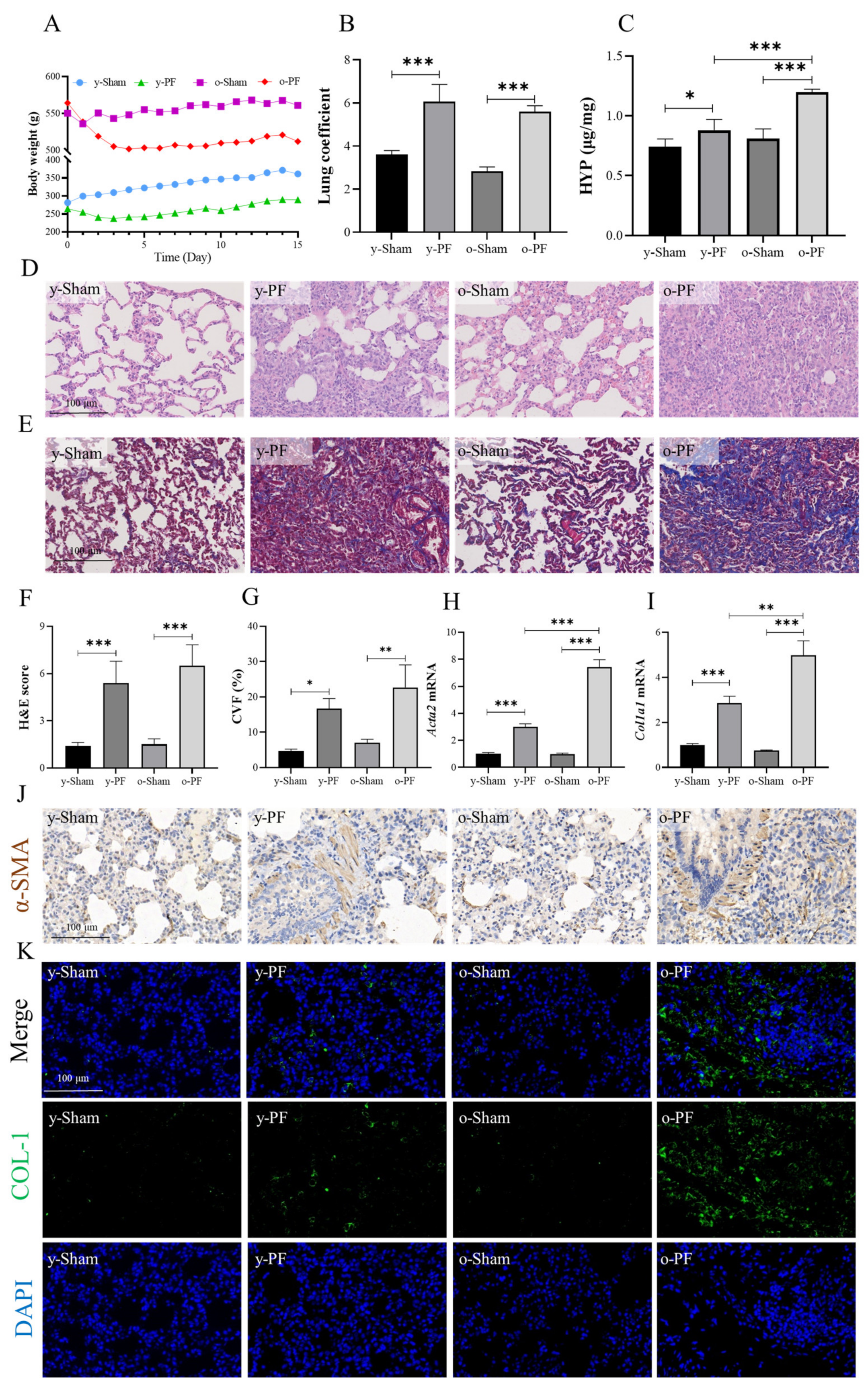 Life 12 01961 g001 Life 12 01961 g001