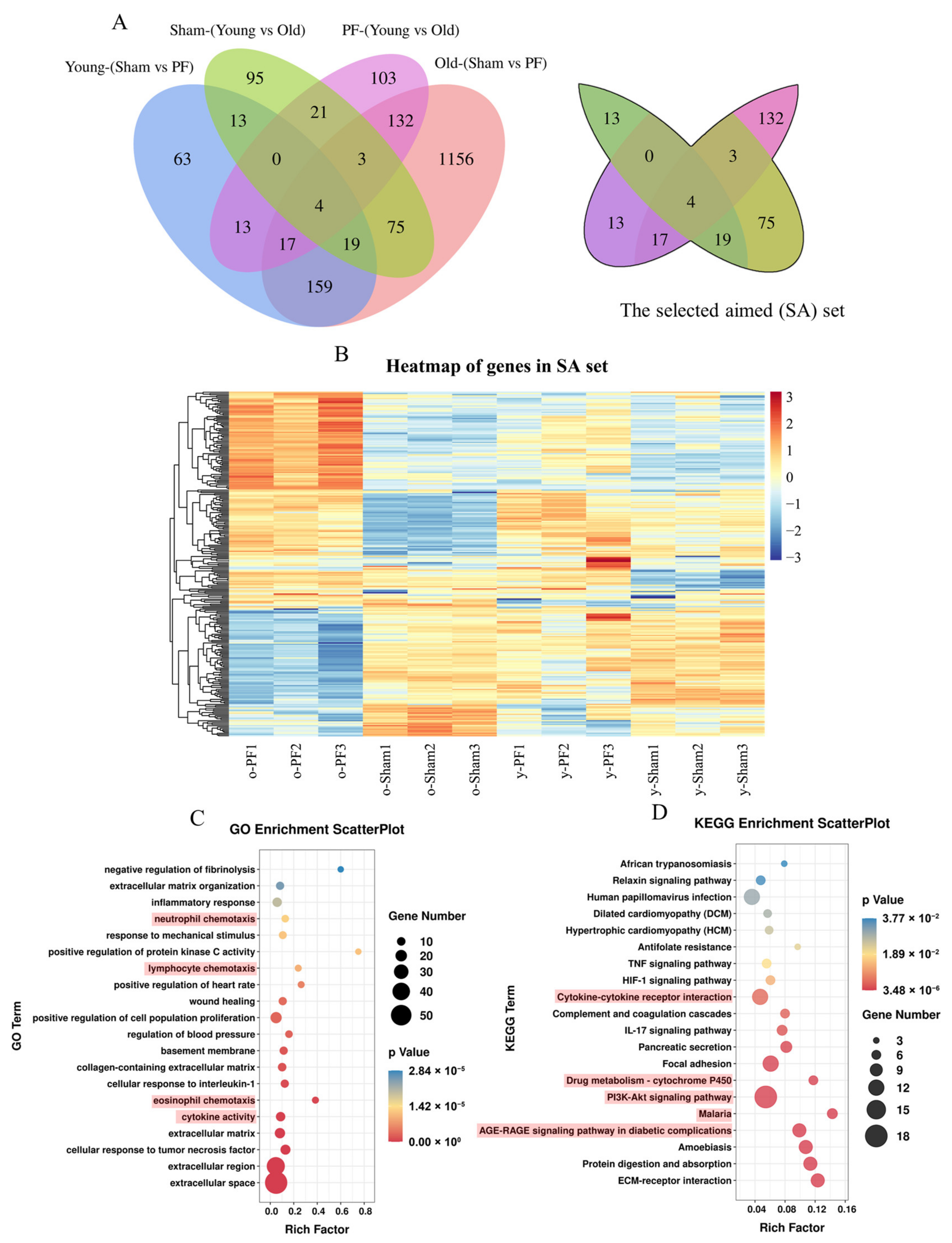 Life 12 01961 g004 Life 12 01961 g004