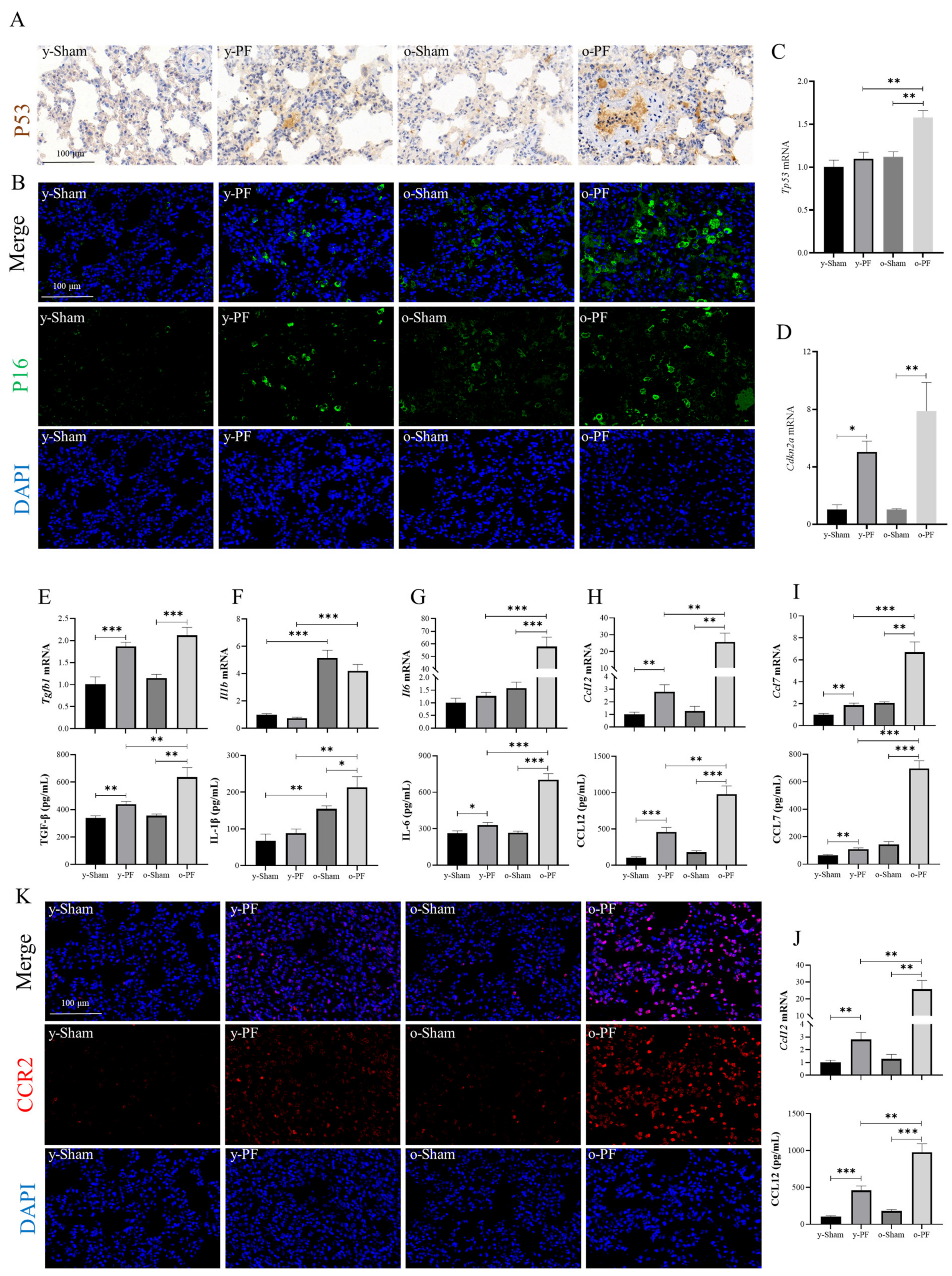 Life 12 01961 g005 Life 12 01961 g005