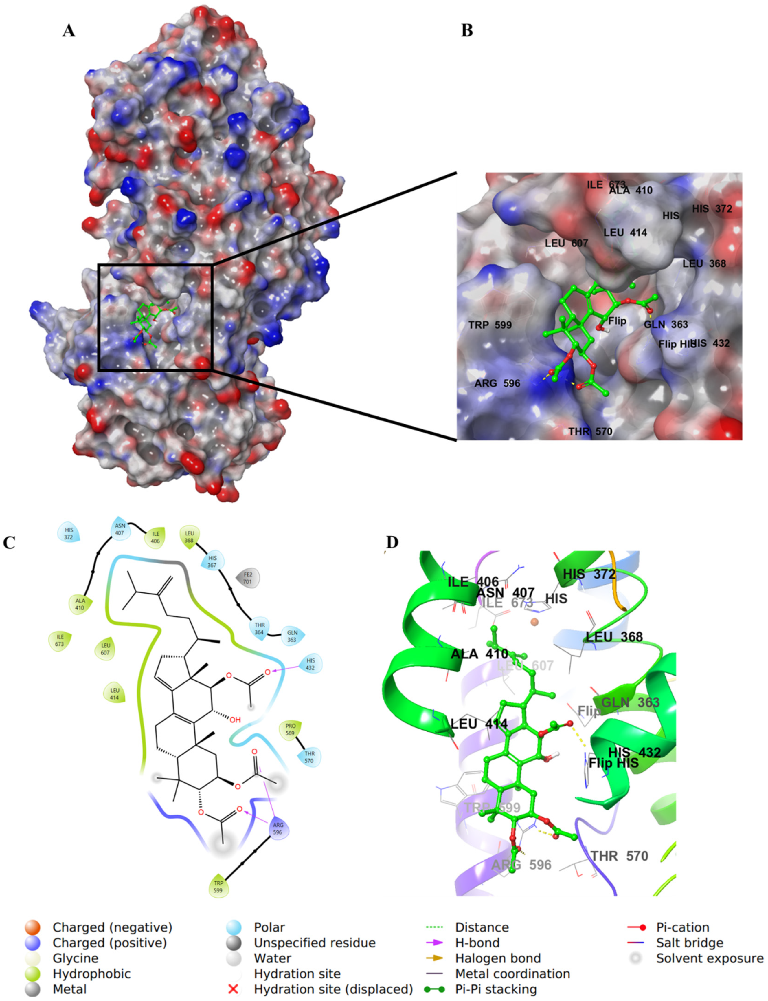 Life 12 02095 g008 Life 12 02095 g008