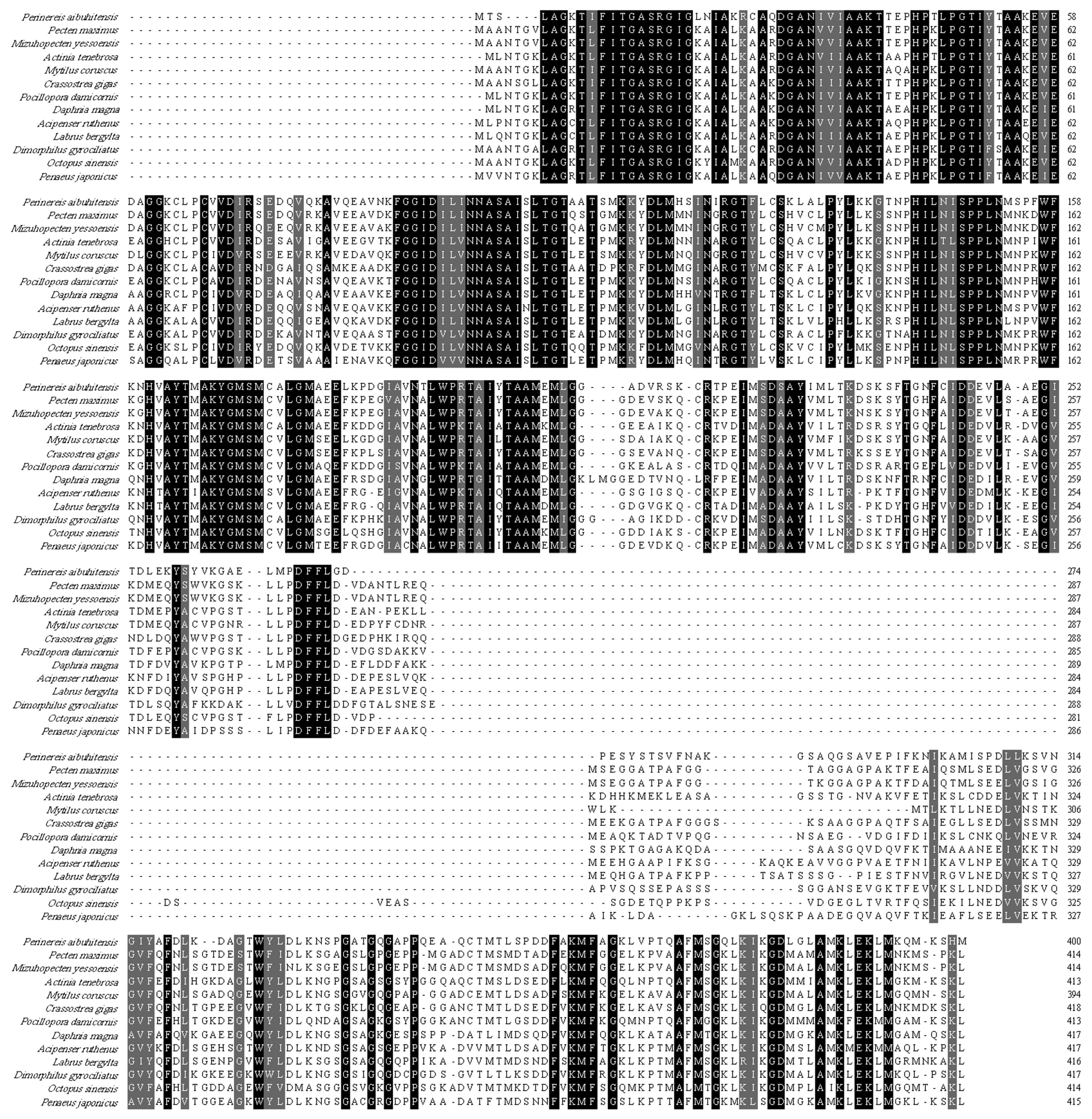 Life 13 00010 g003 Life 13 00010 g003