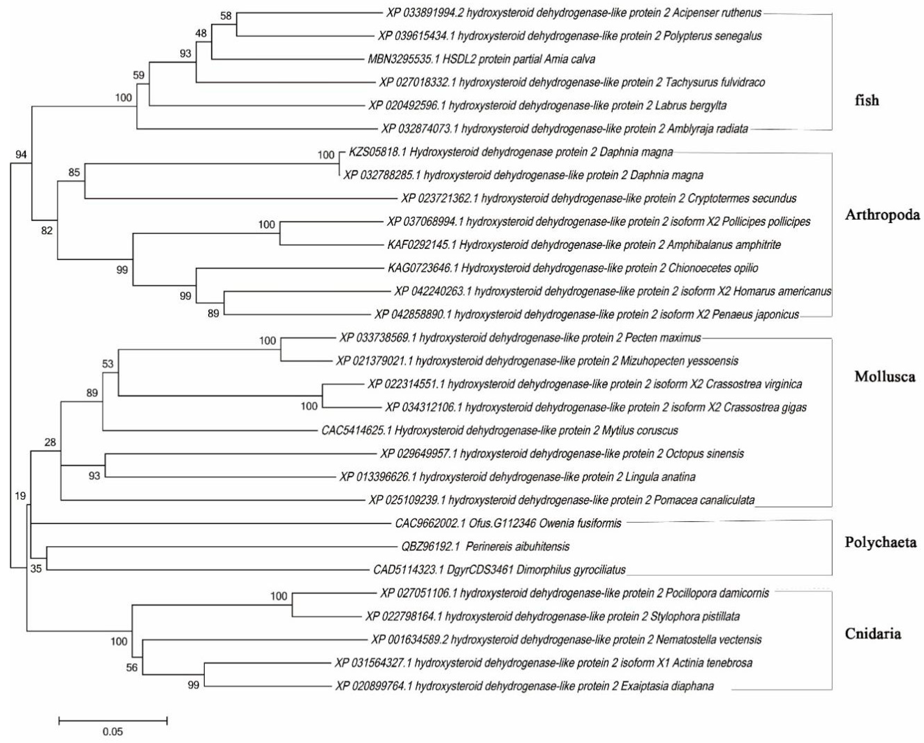 Life 13 00010 g004 Life 13 00010 g004