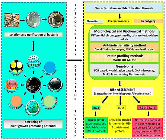 Life | Free Full-Text | Microbial Inoculants as Plant