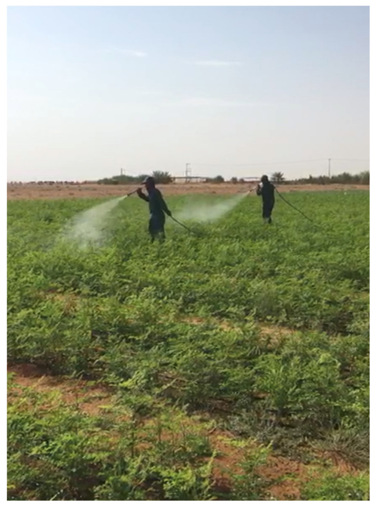 Life 13 00063 g001 Life 13 00063 g001