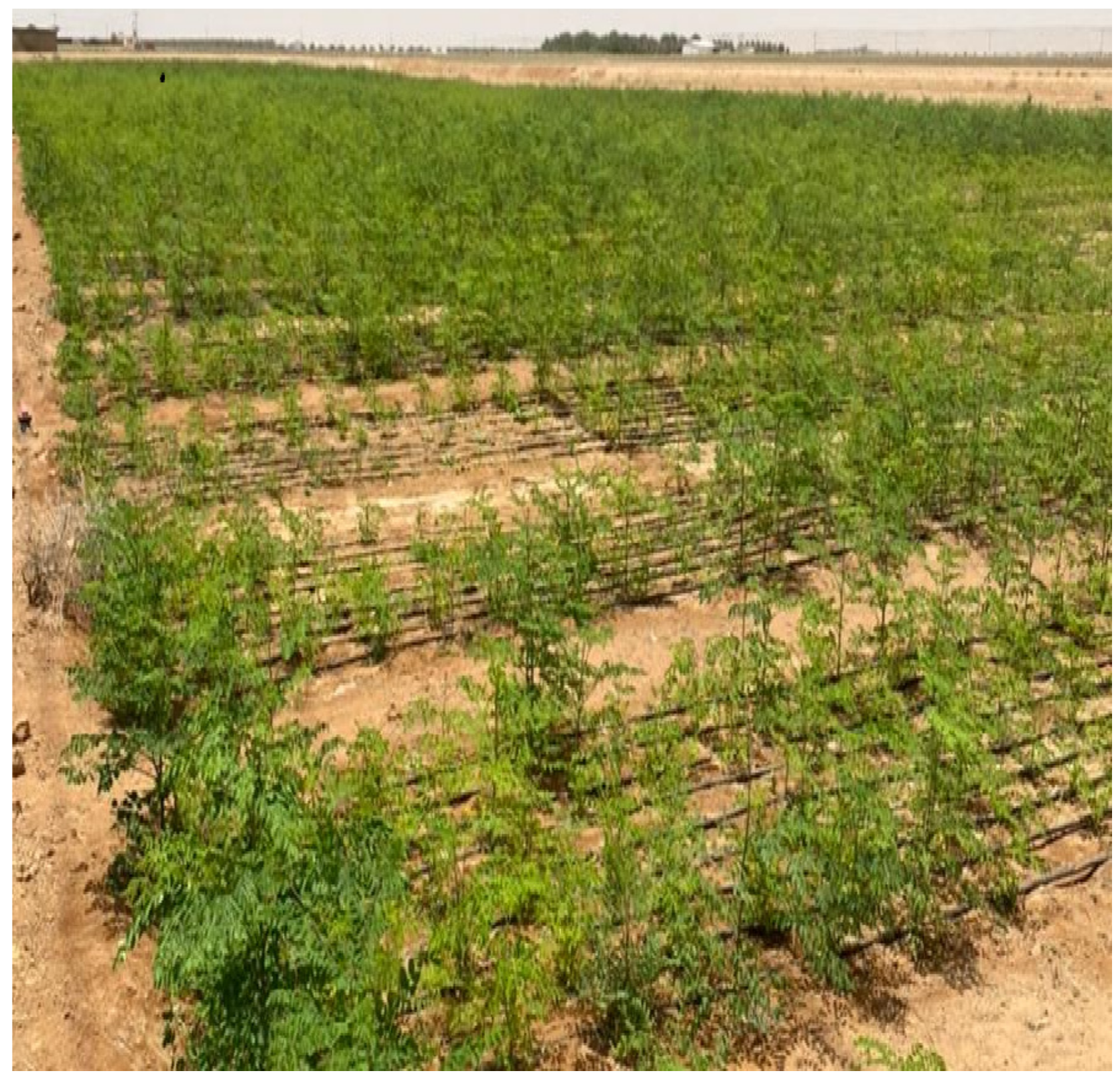 Life 13 00063 g002 Life 13 00063 g002