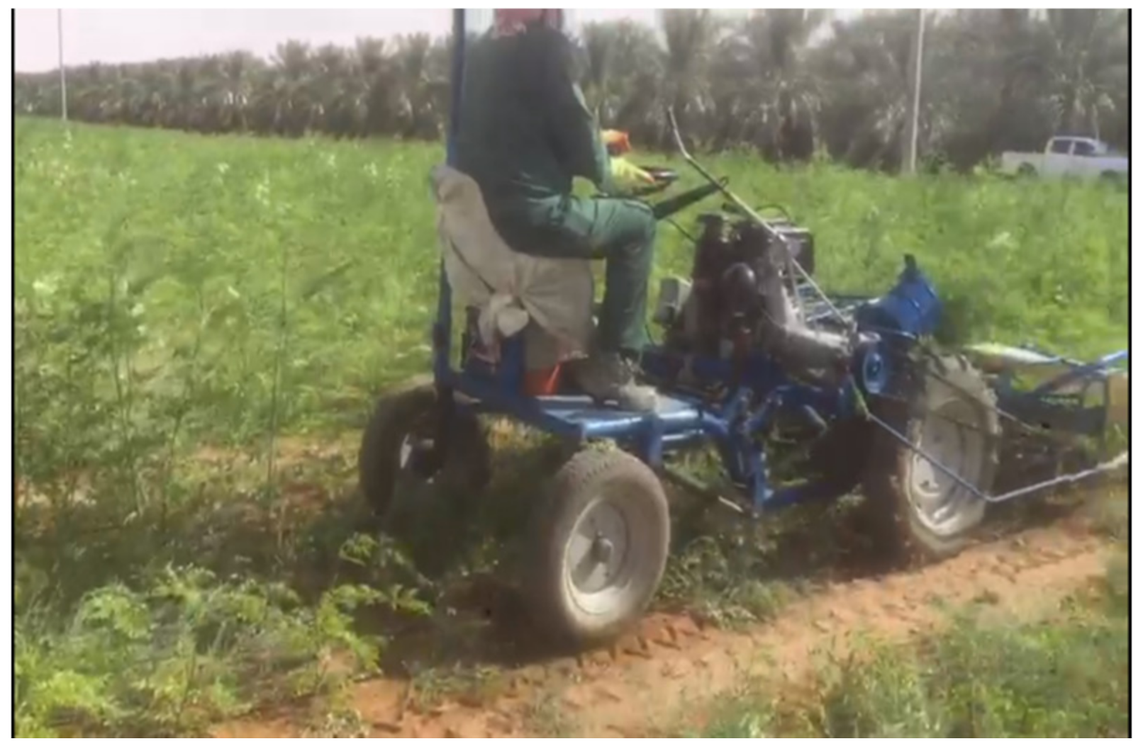 Life 13 00063 g003 Life 13 00063 g003