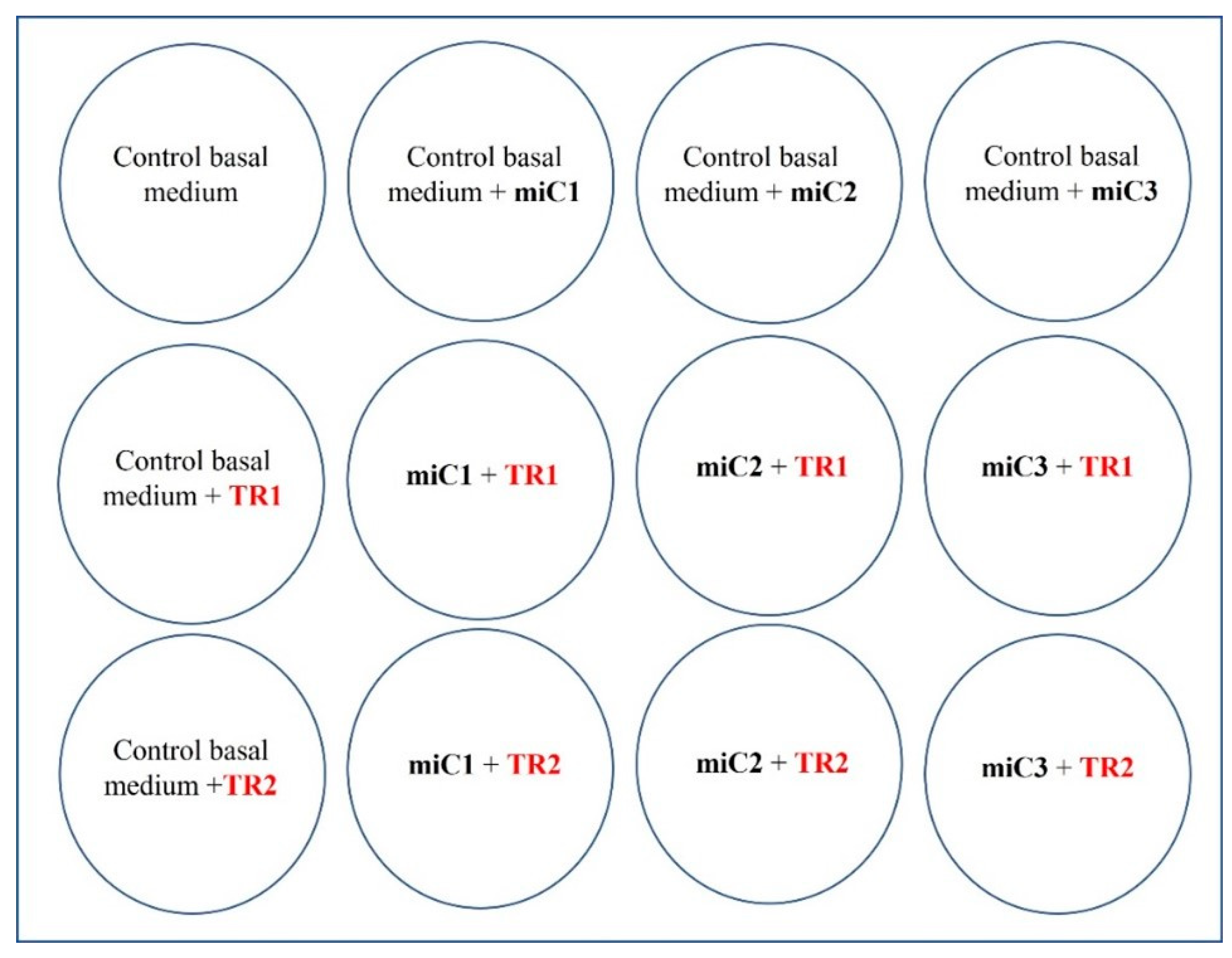 Life 13 00064 g003 Life 13 00064 g003