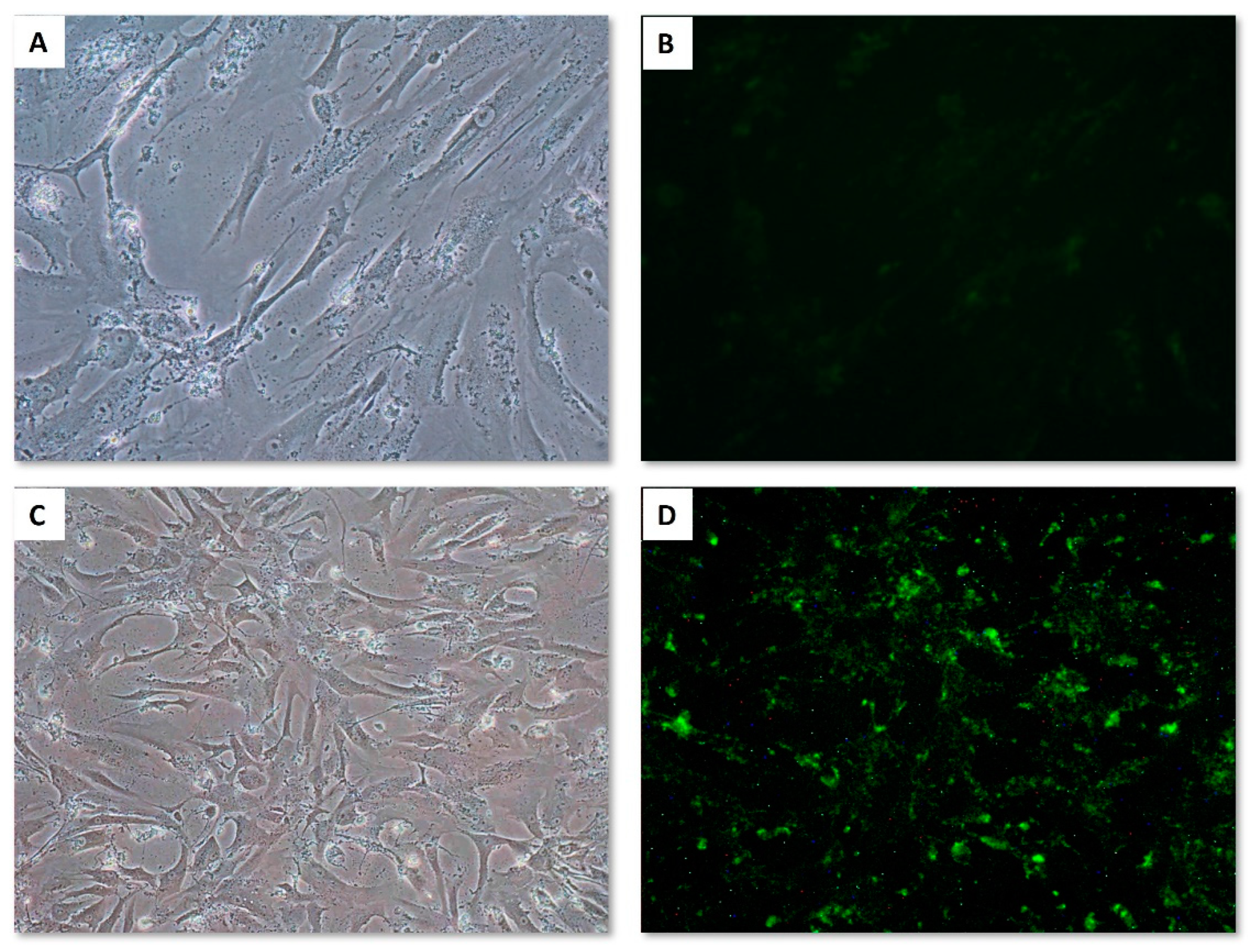 Life 13 00064 g004 Life 13 00064 g004