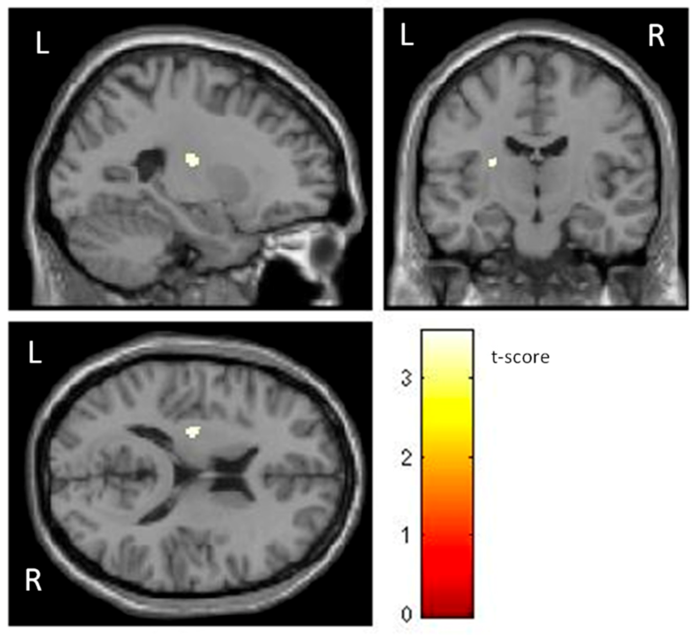 Life 13 00119 g002 Life 13 00119 g002