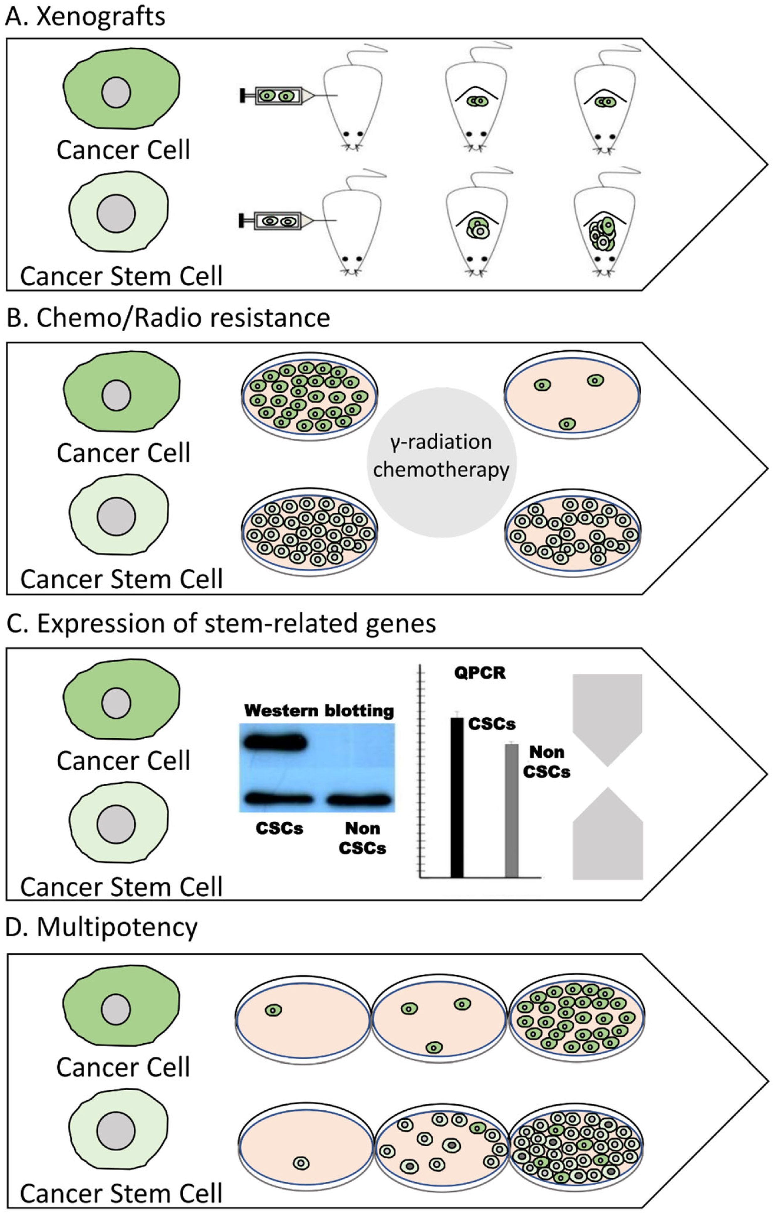 Life 13 00197 g005 Life 13 00197 g005