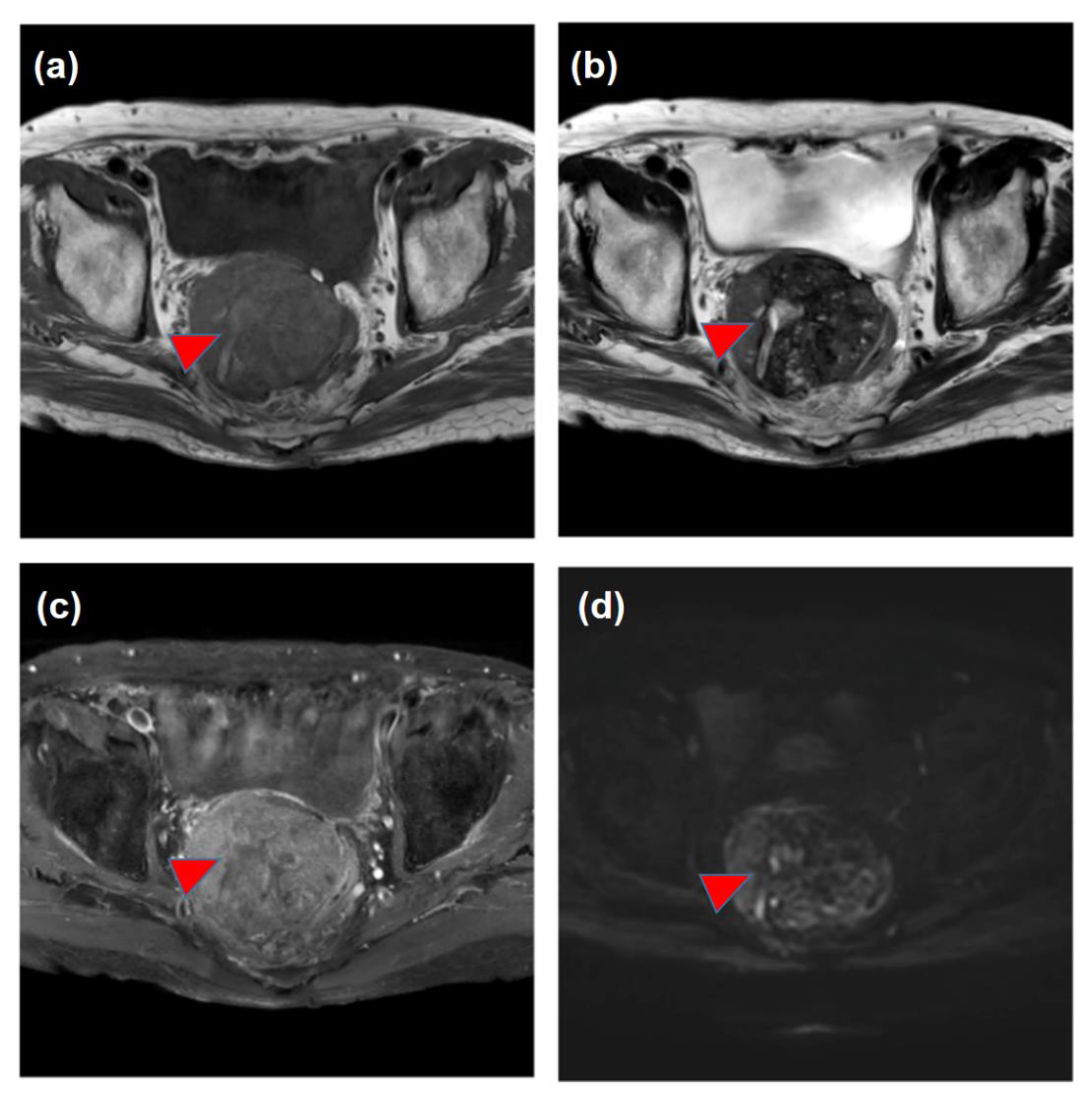 Life 13 00225 g002 Life 13 00225 g002