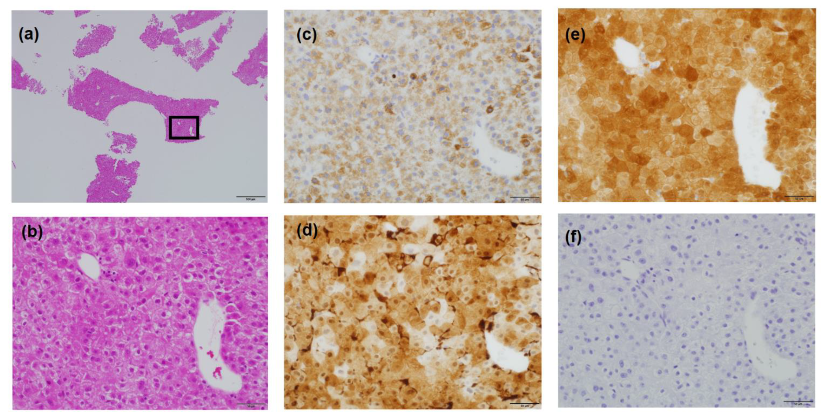 Life 13 00225 g004 Life 13 00225 g004