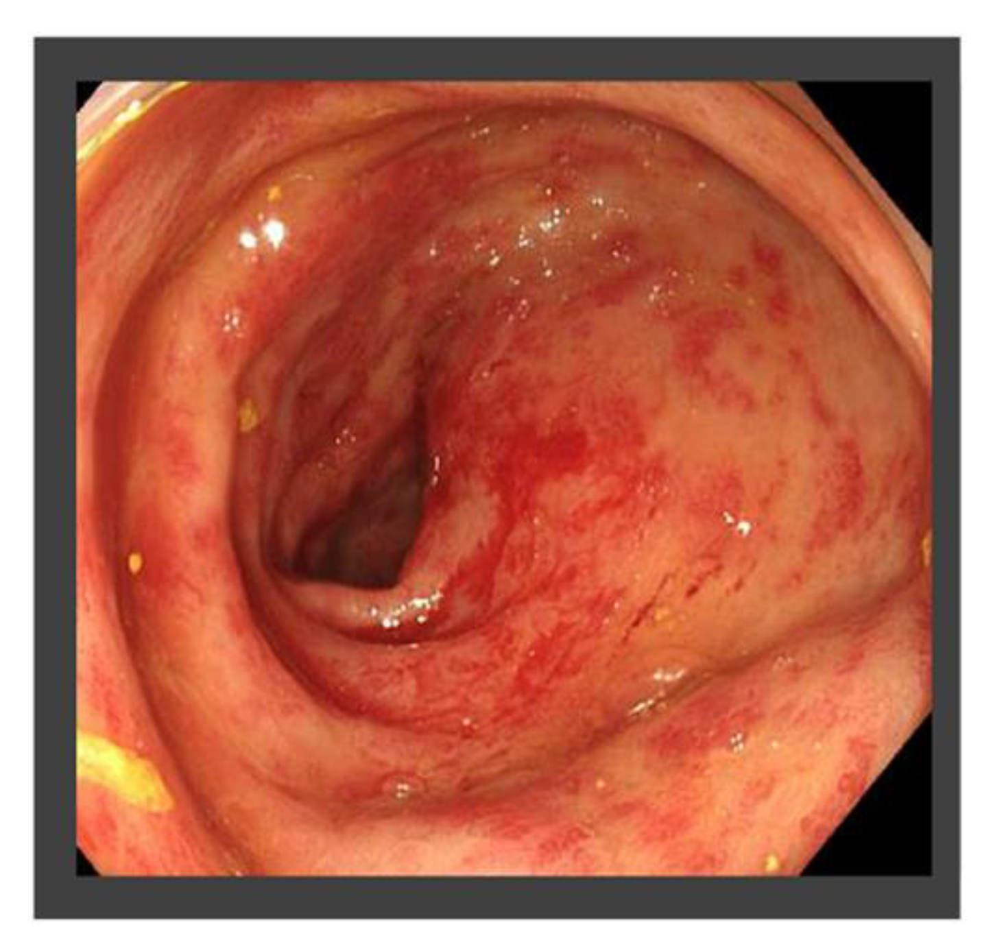 Life 13 00225 g008 Life 13 00225 g008