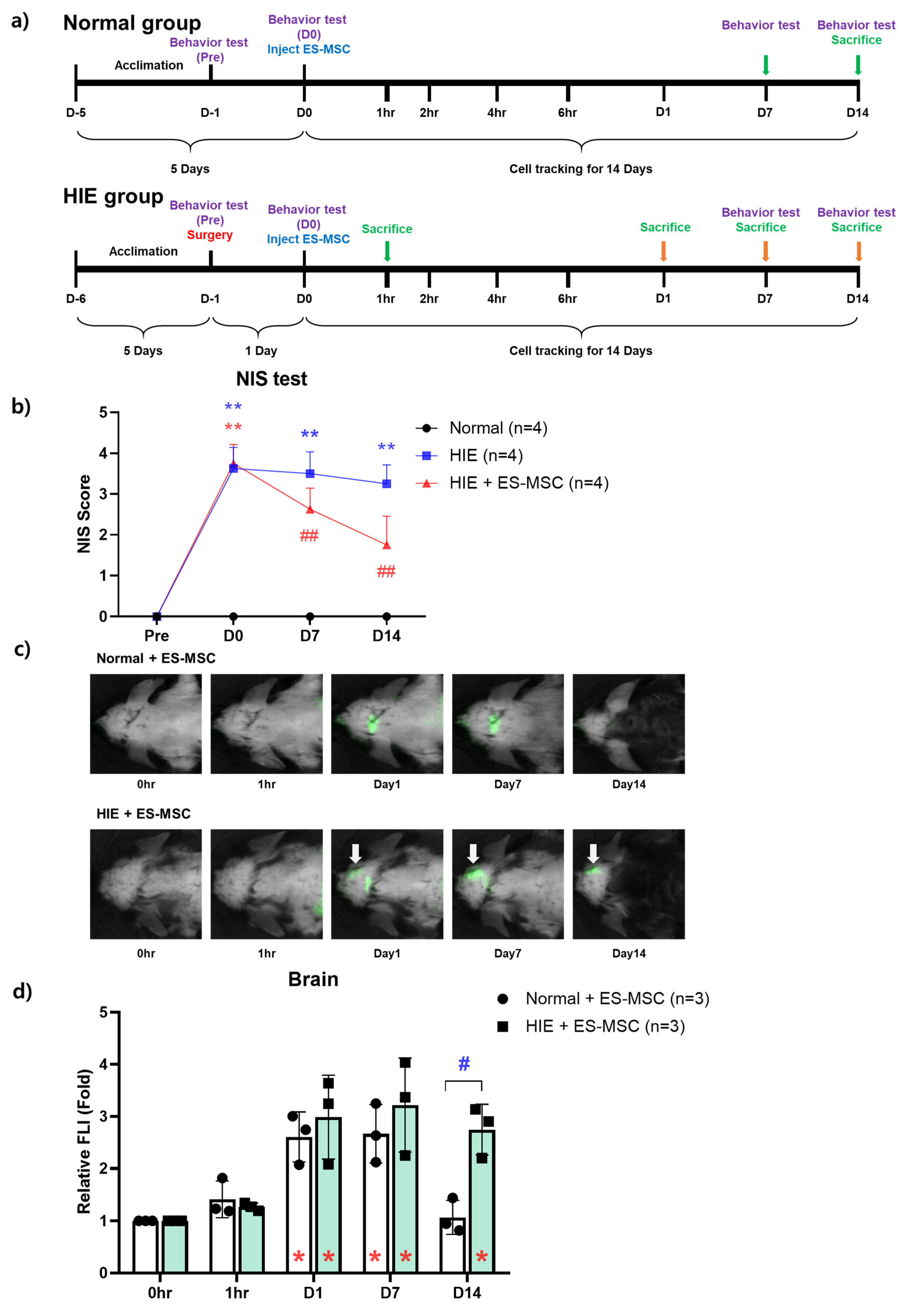 Life 13 00227 g001 Life 13 00227 g001