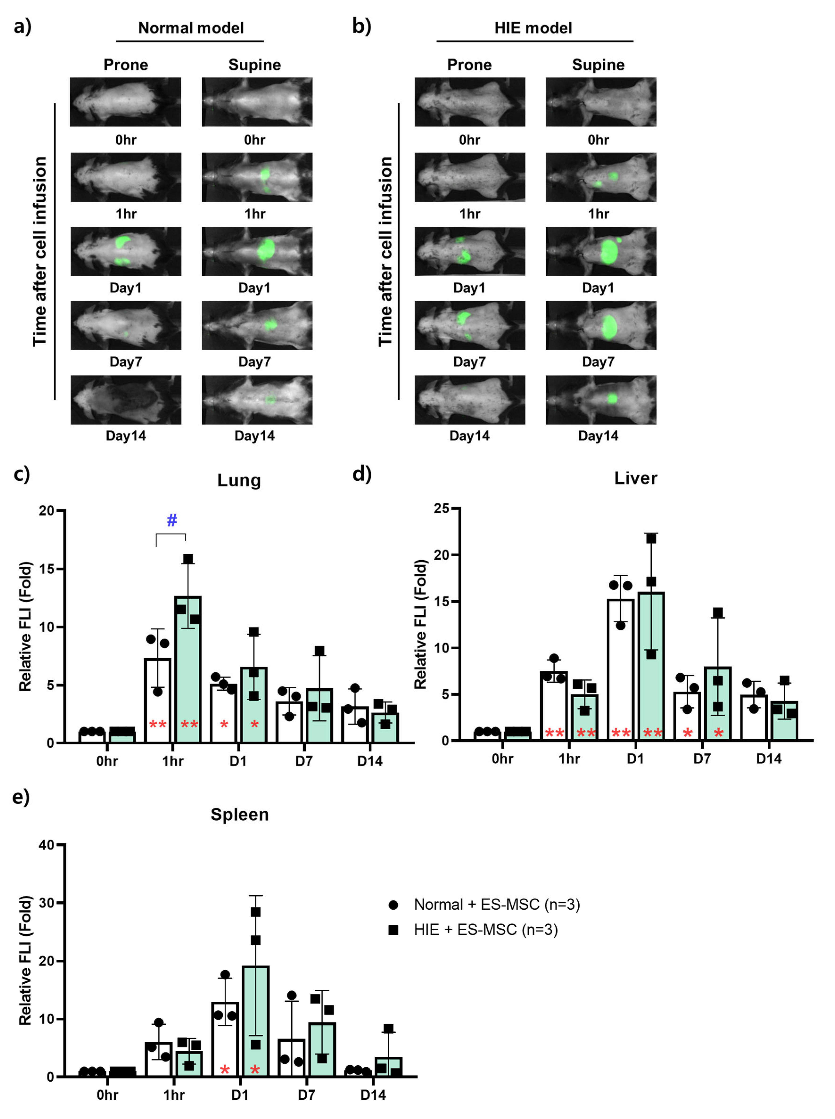 Life 13 00227 g002 Life 13 00227 g002