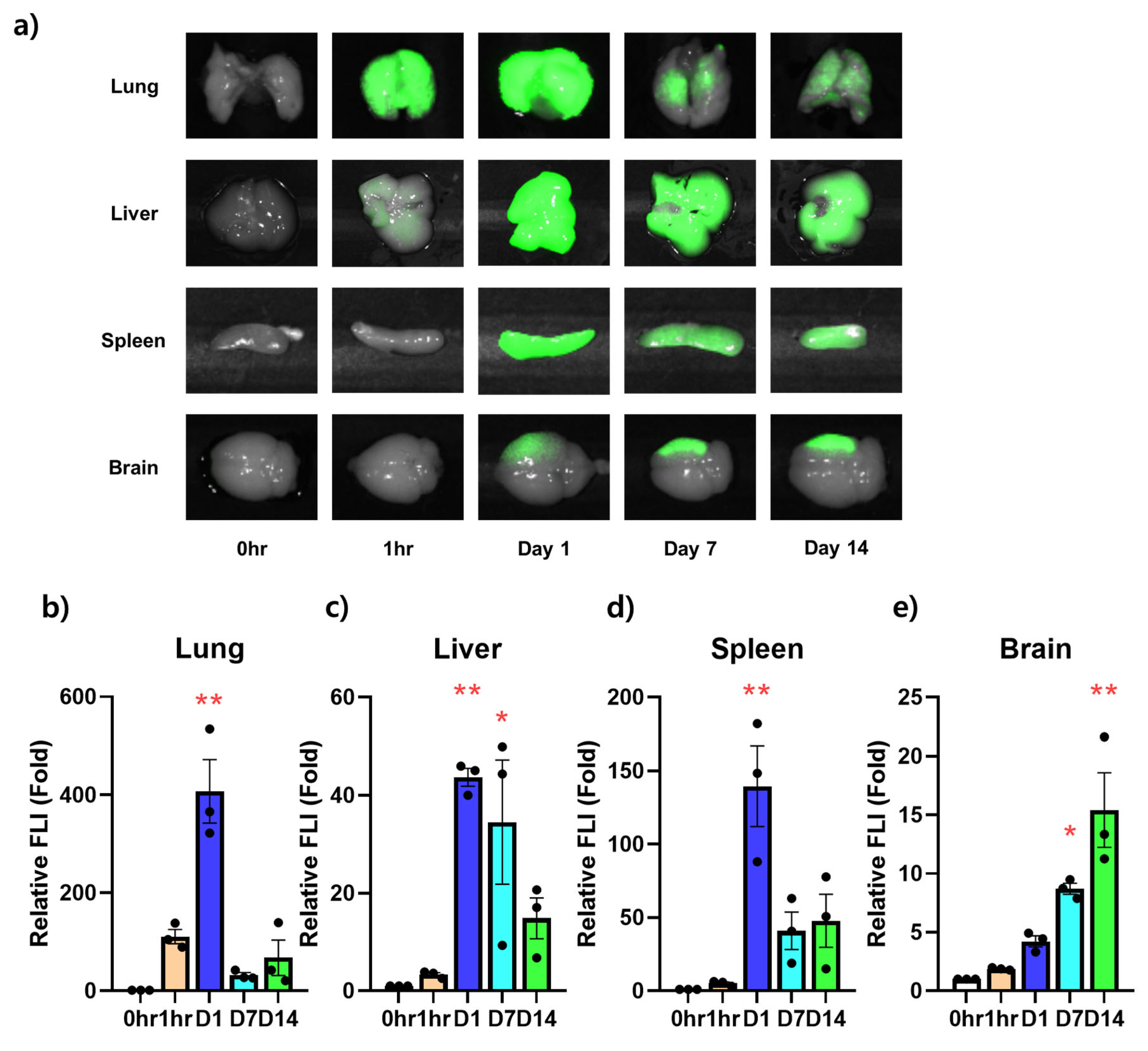 Life 13 00227 g003 Life 13 00227 g003