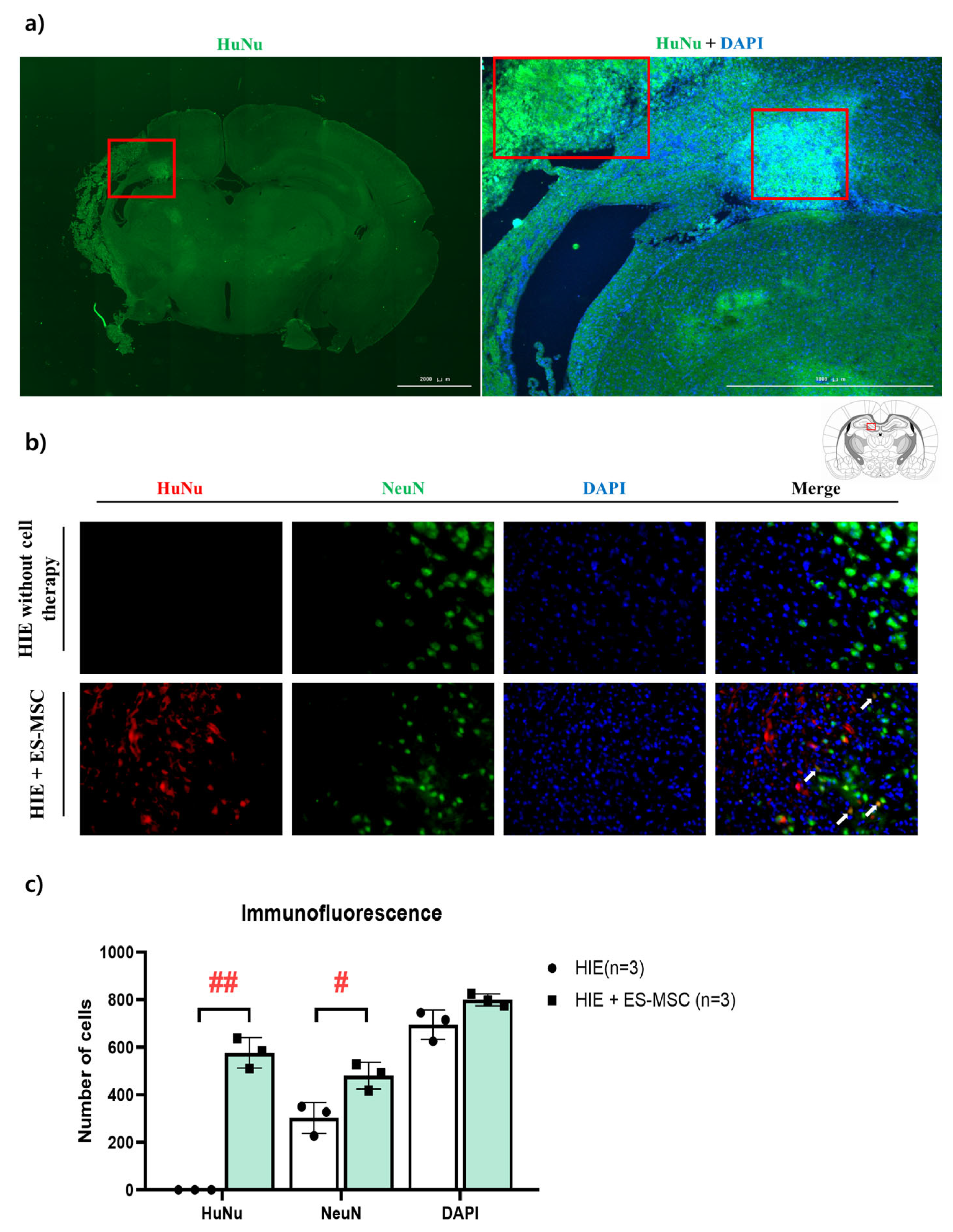 Life 13 00227 g004 Life 13 00227 g004