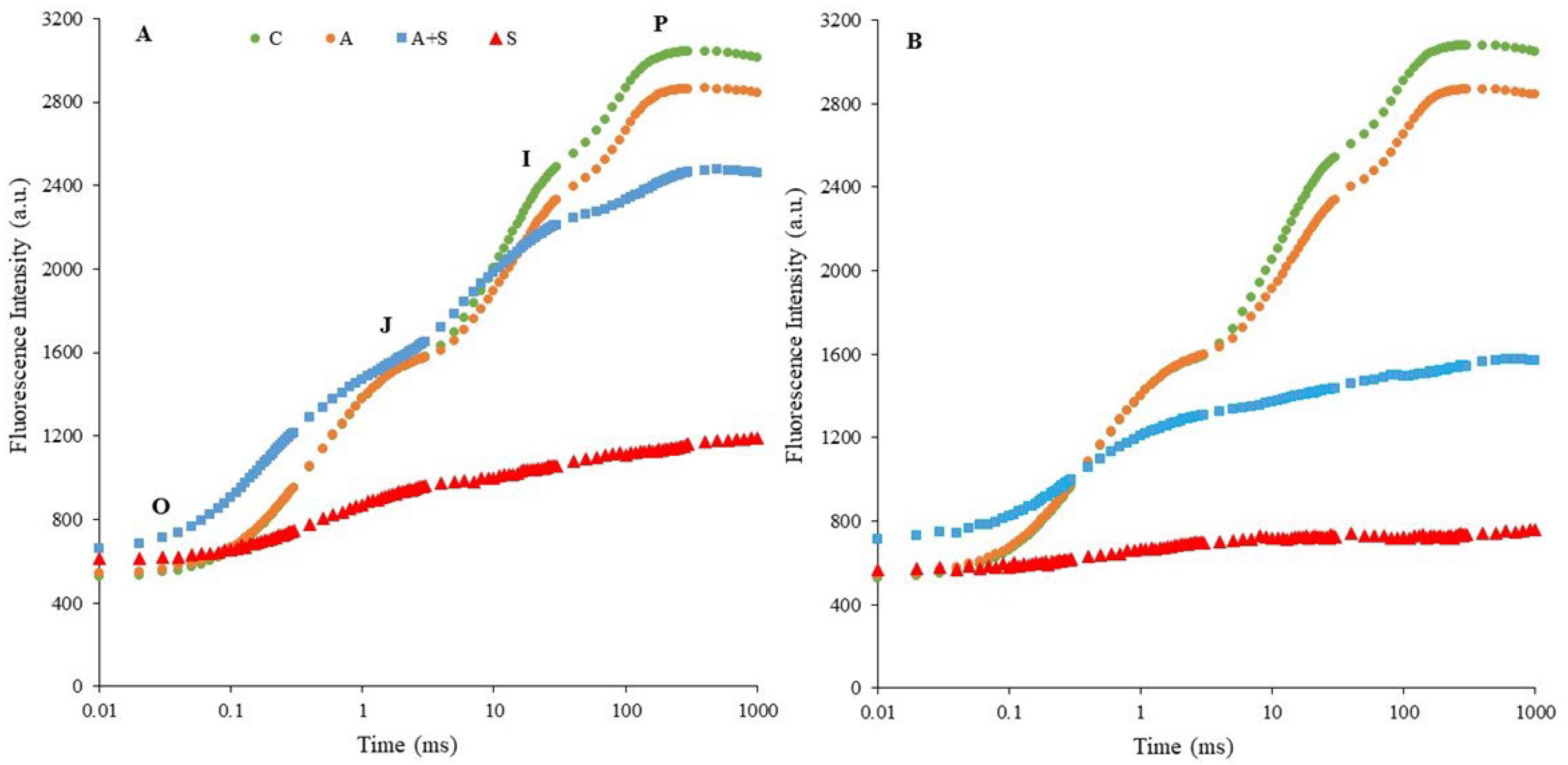 Life 13 00233 g001 Life 13 00233 g001