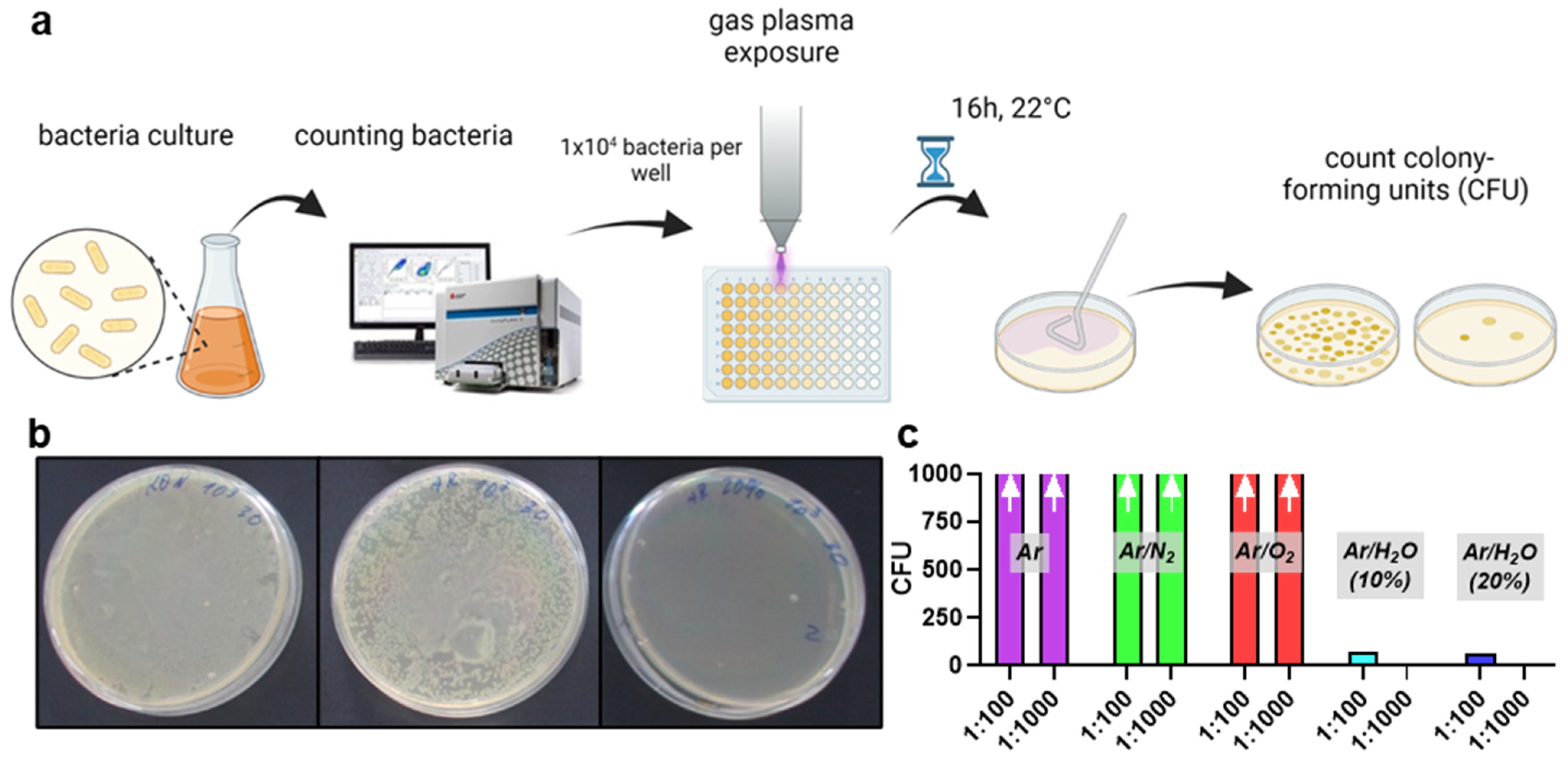 Life 13 00257 g002 Life 13 00257 g002
