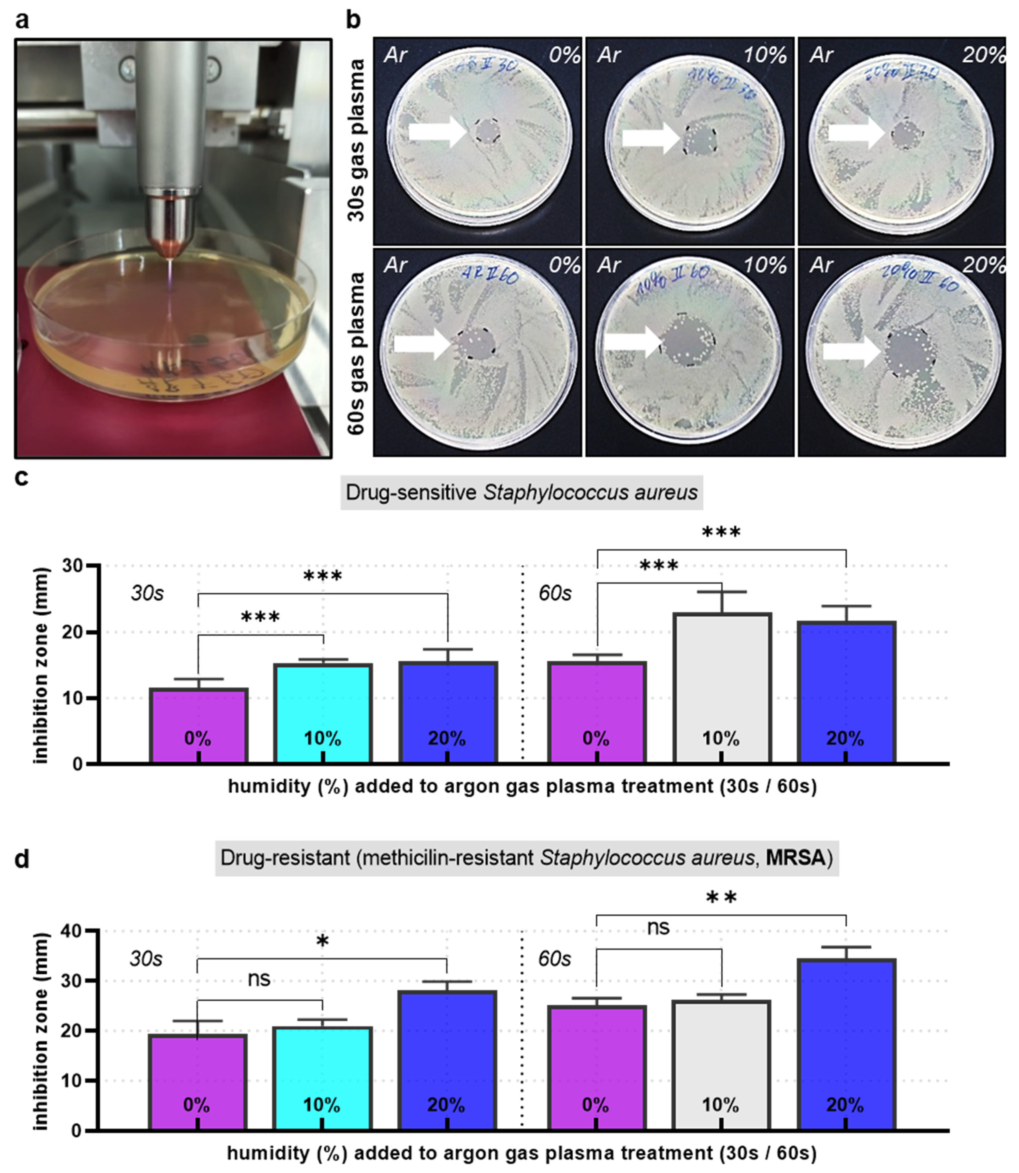 Life 13 00257 g003 Life 13 00257 g003