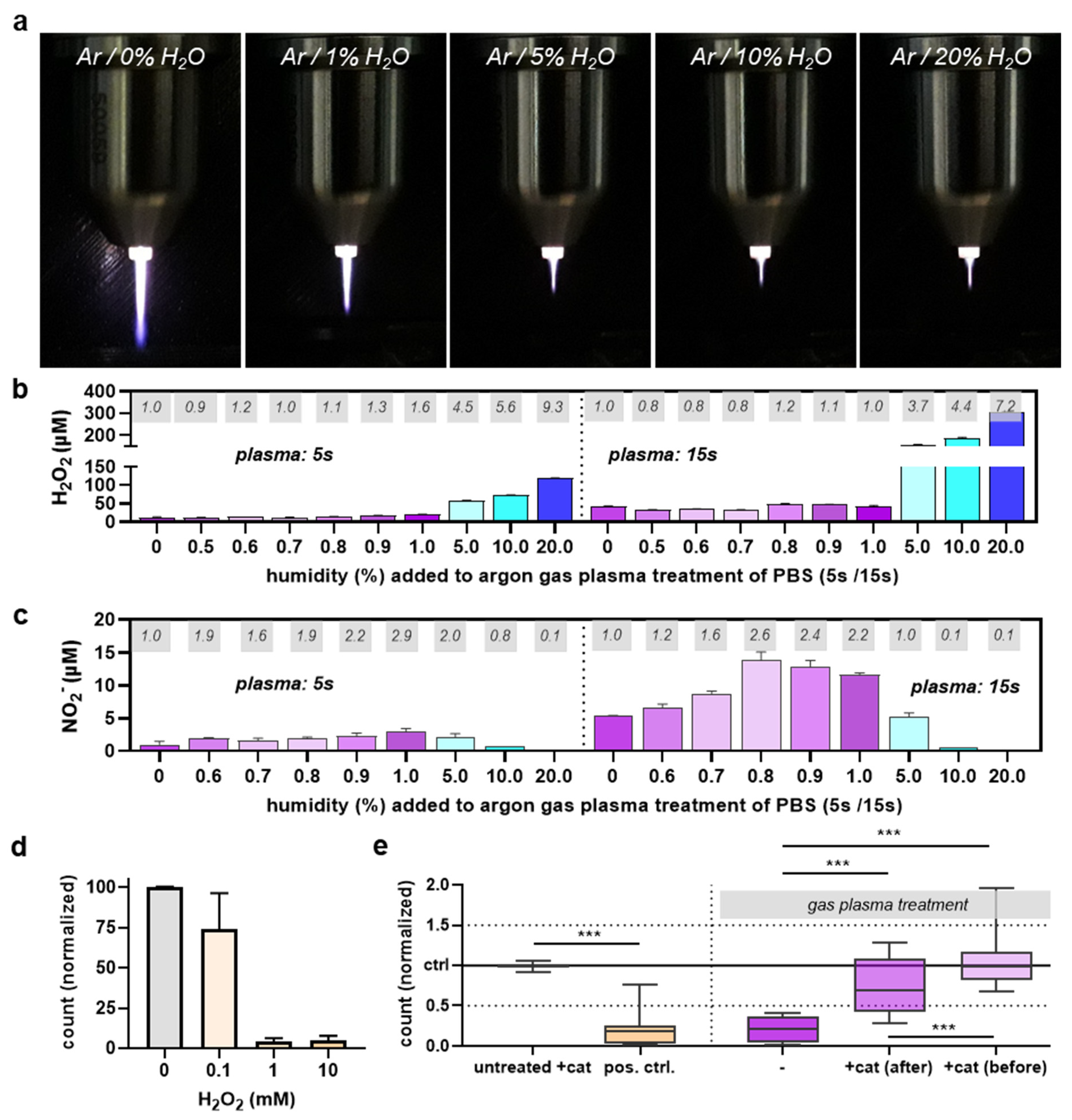 Life 13 00257 g004 Life 13 00257 g004