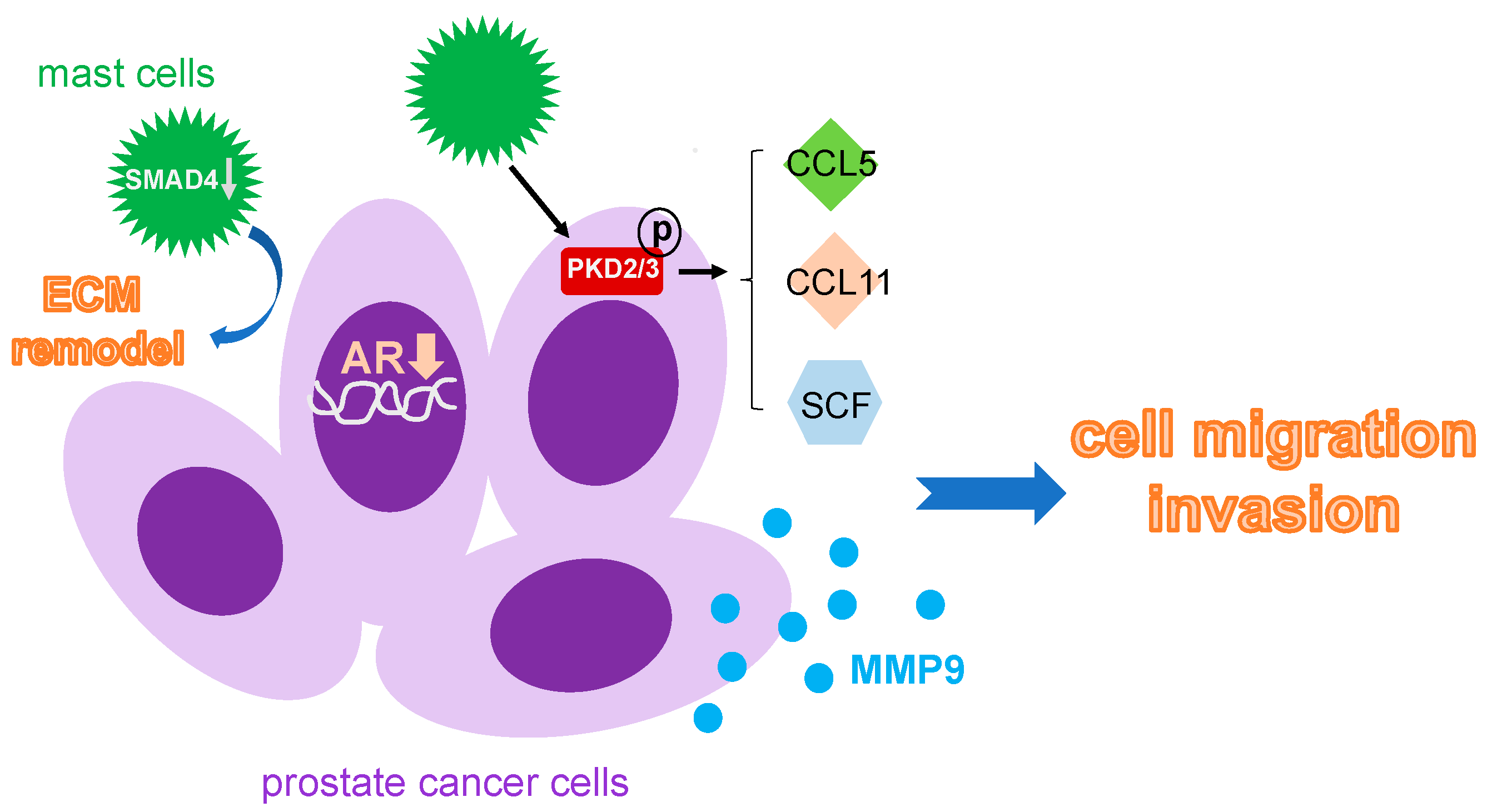 Life 13 00333 g003 Life 13 00333 g003