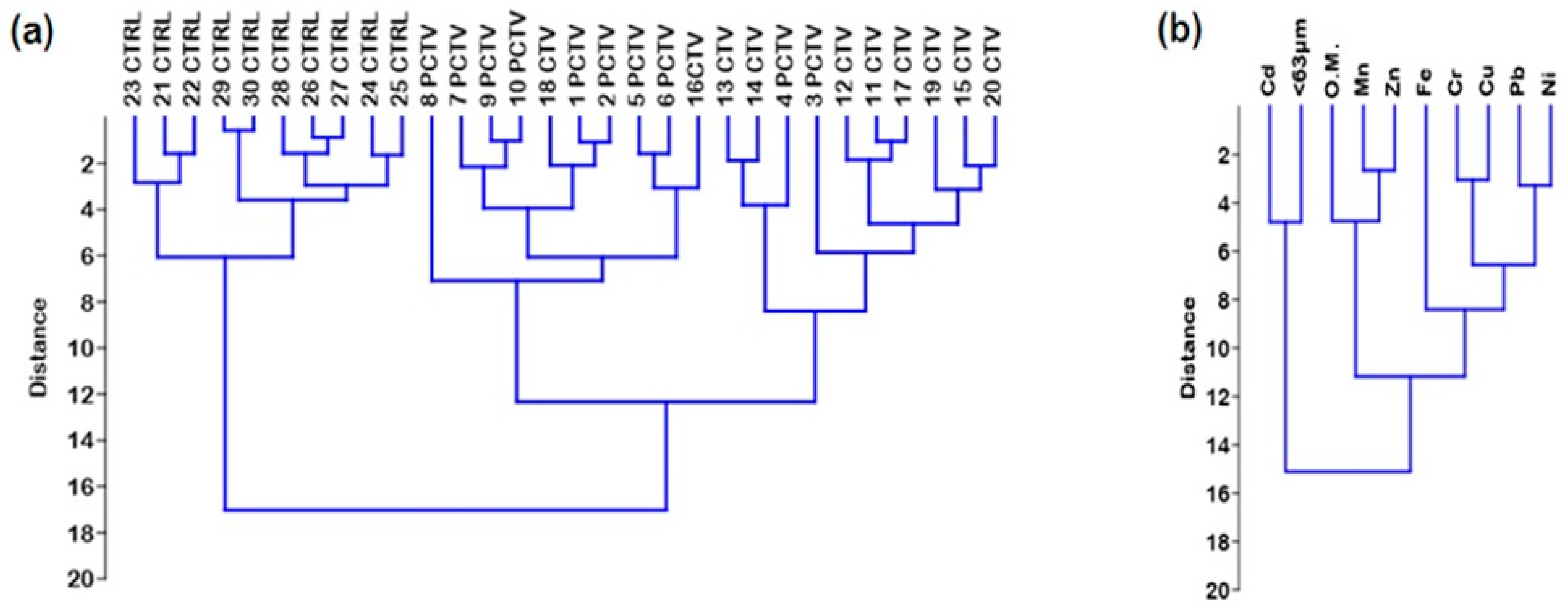 Life 13 00338 g004 Life 13 00338 g004