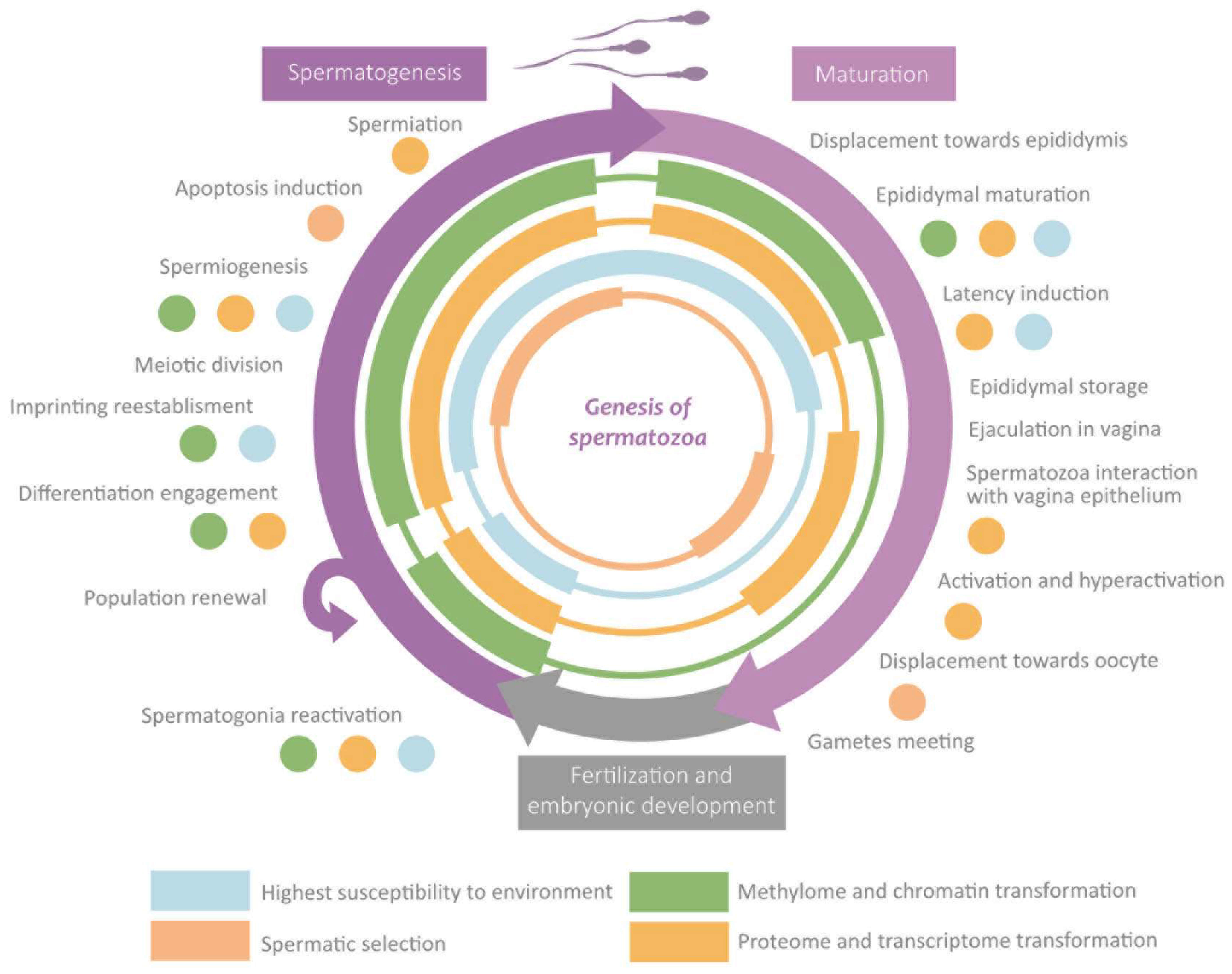 Life 13 00364 g005 Life 13 00364 g005