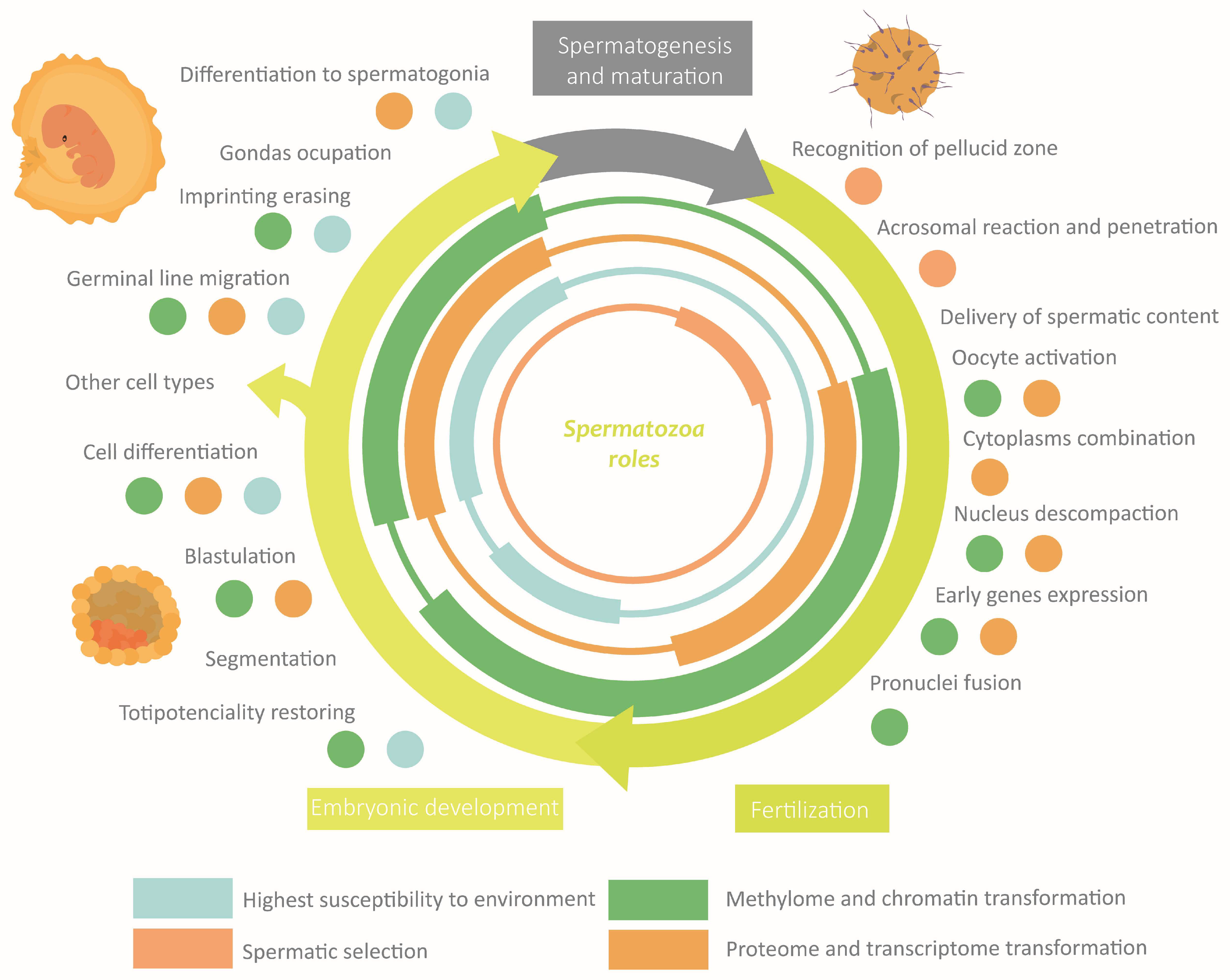 Life 13 00364 g006 Life 13 00364 g006