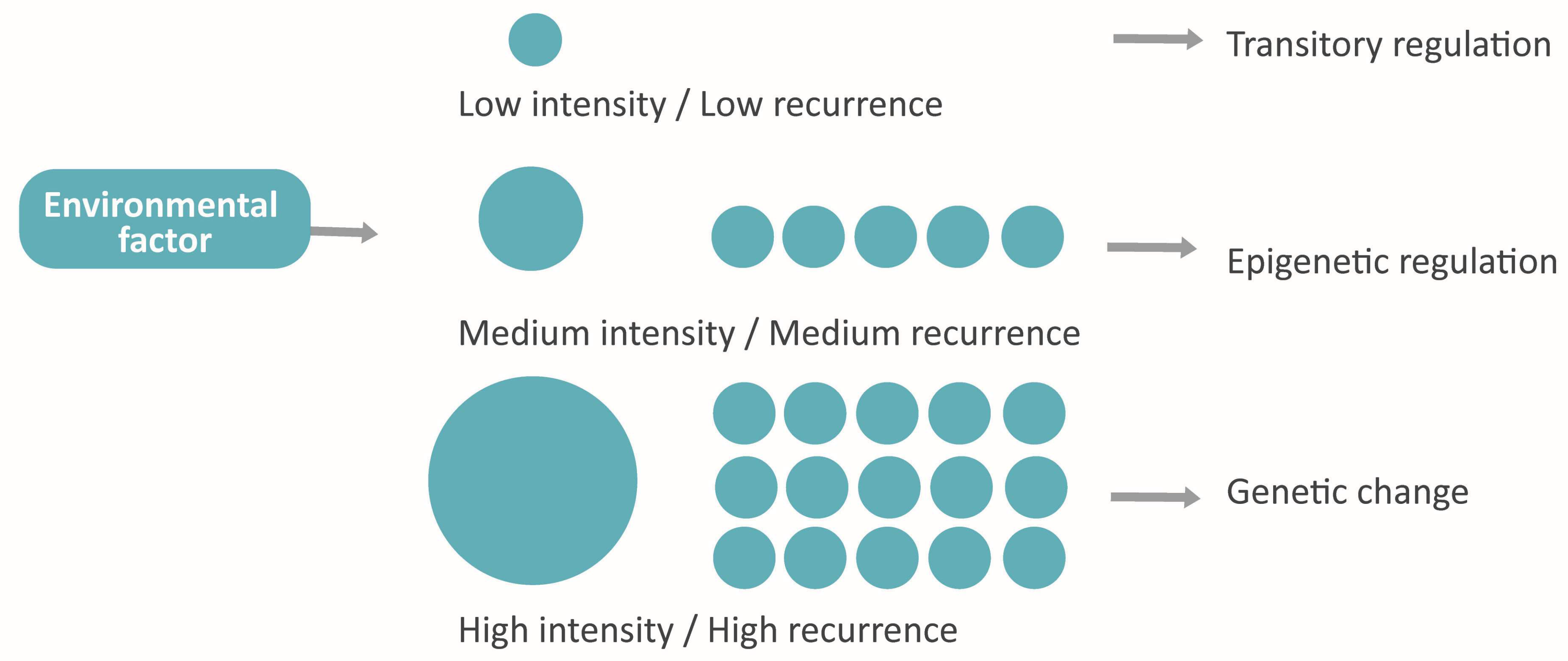 Life 13 00364 g007 Life 13 00364 g007