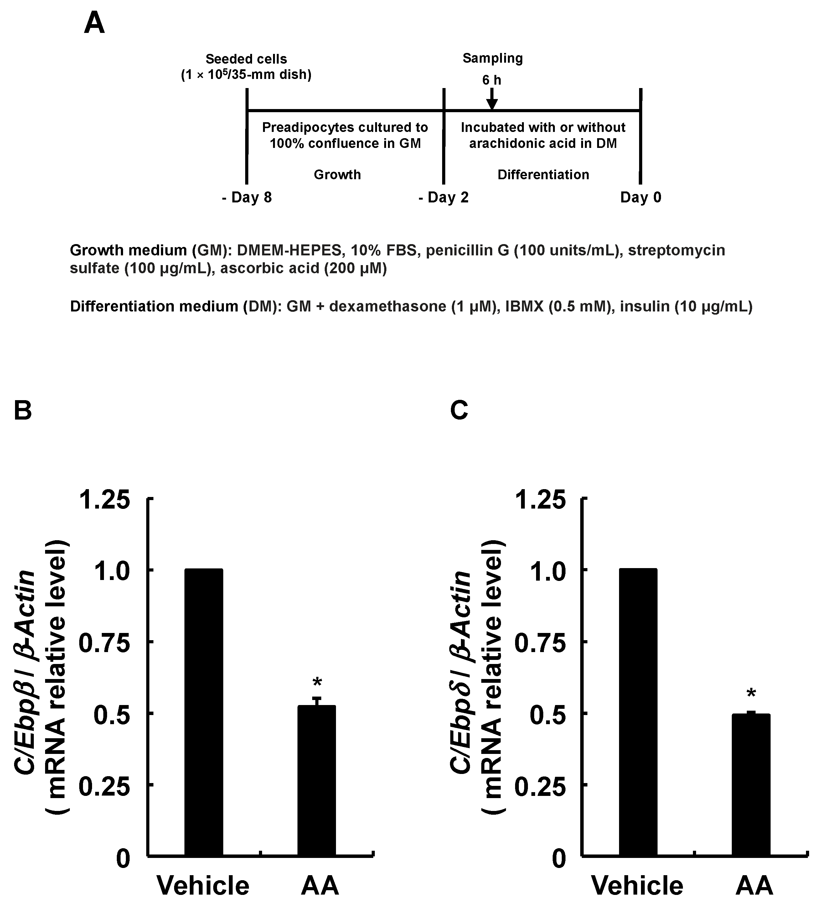 Life 13 00367 g004 Life 13 00367 g004