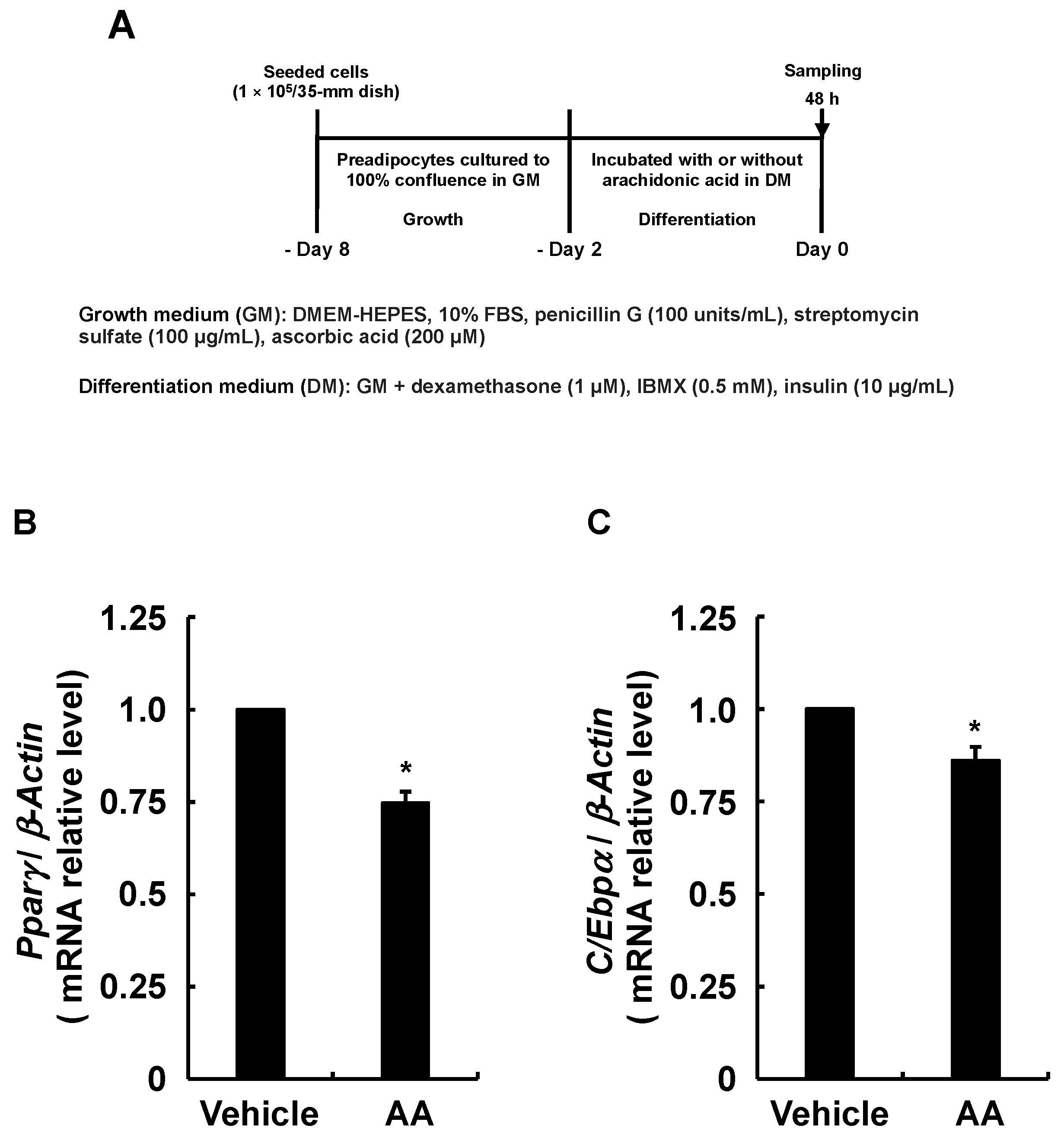 Life 13 00367 g005 Life 13 00367 g005