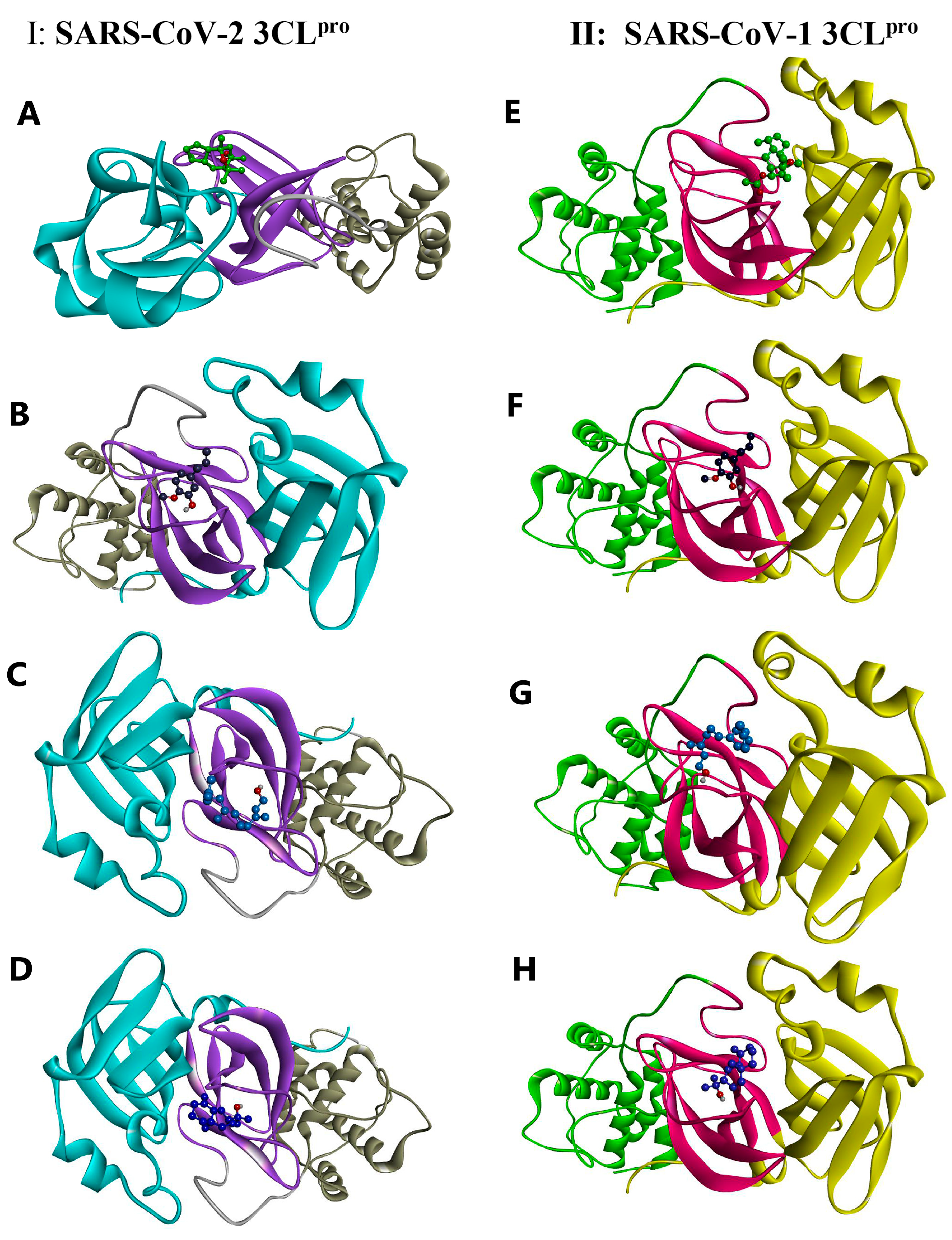 Life 13 00378 g005 Life 13 00378 g005