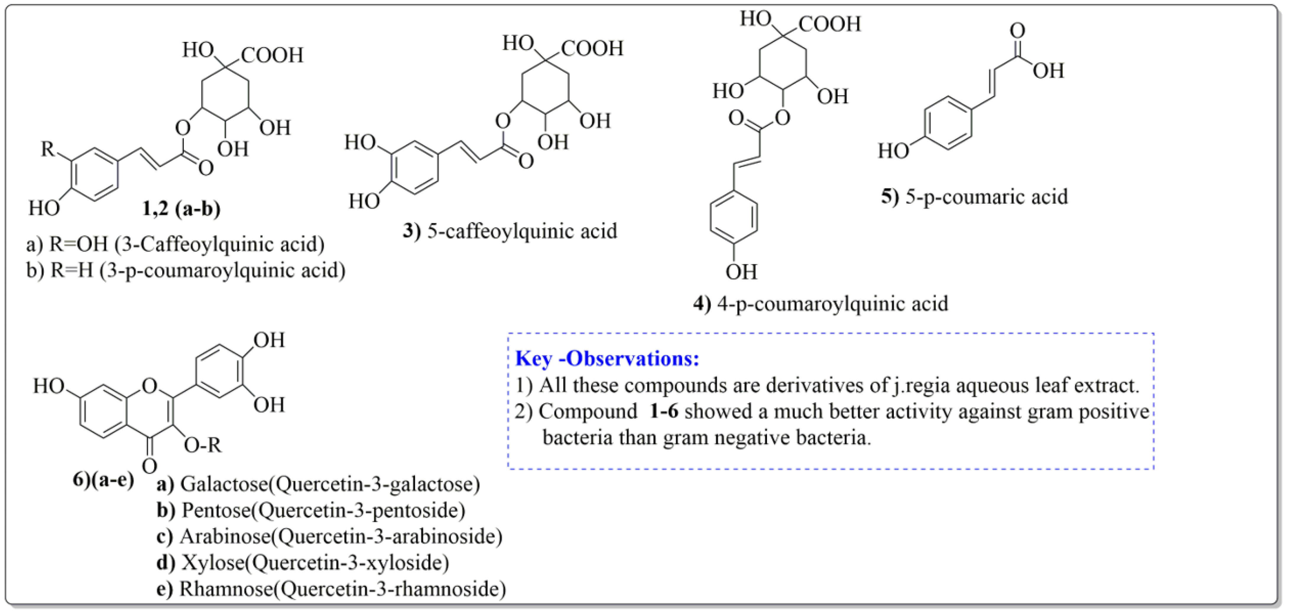 Life 13 00380 g003 Life 13 00380 g003